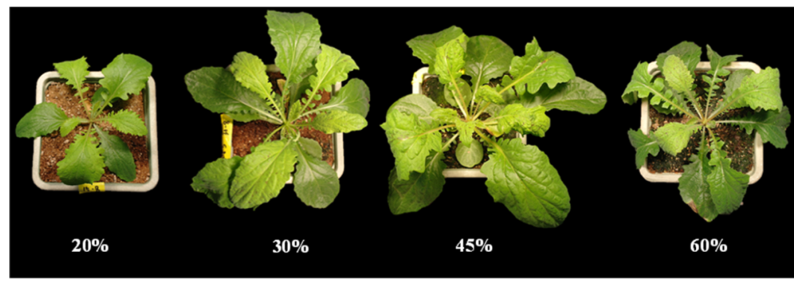 Agronomy 10 00388 g003