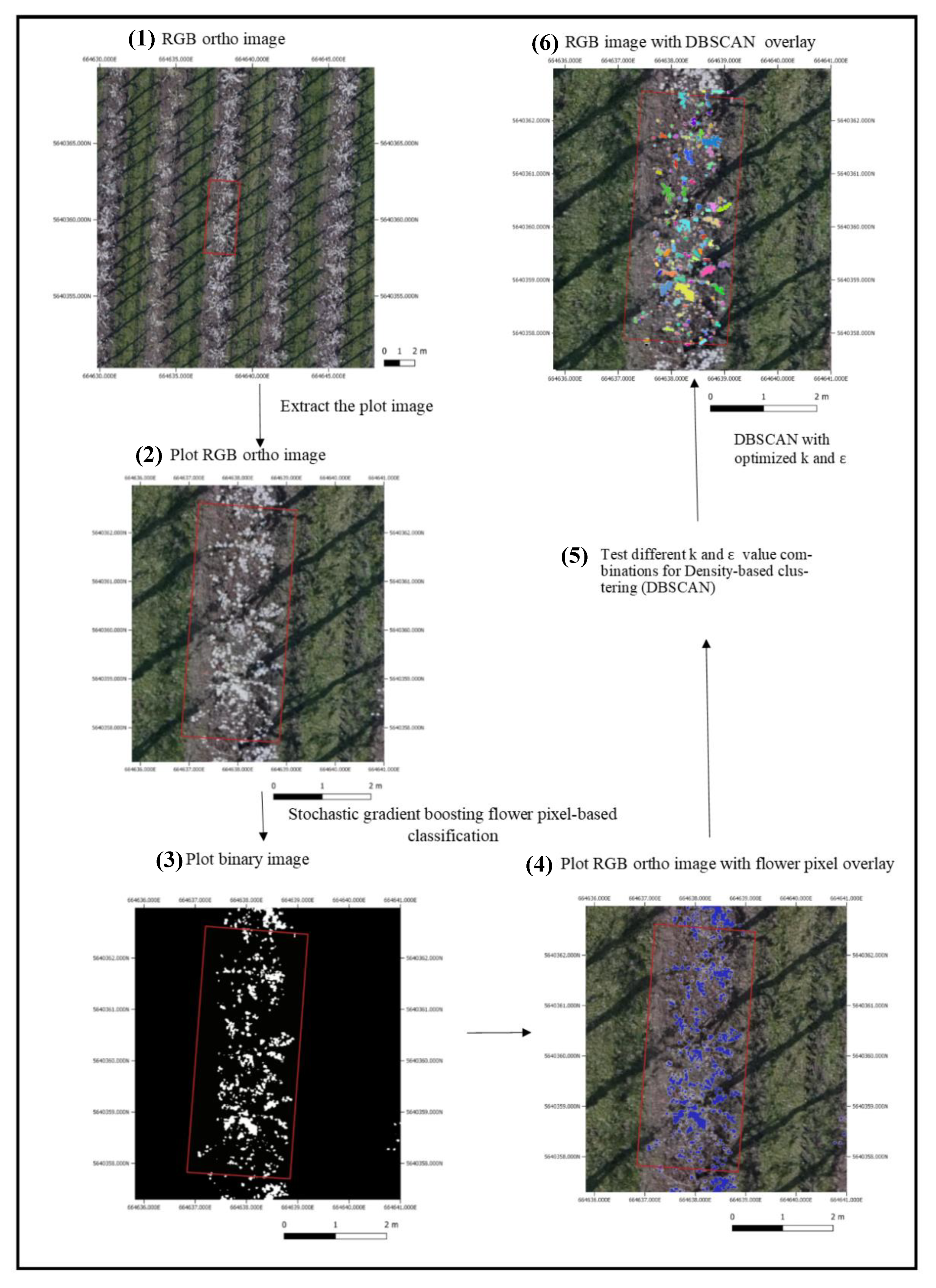Agronomy 10 00407 g001