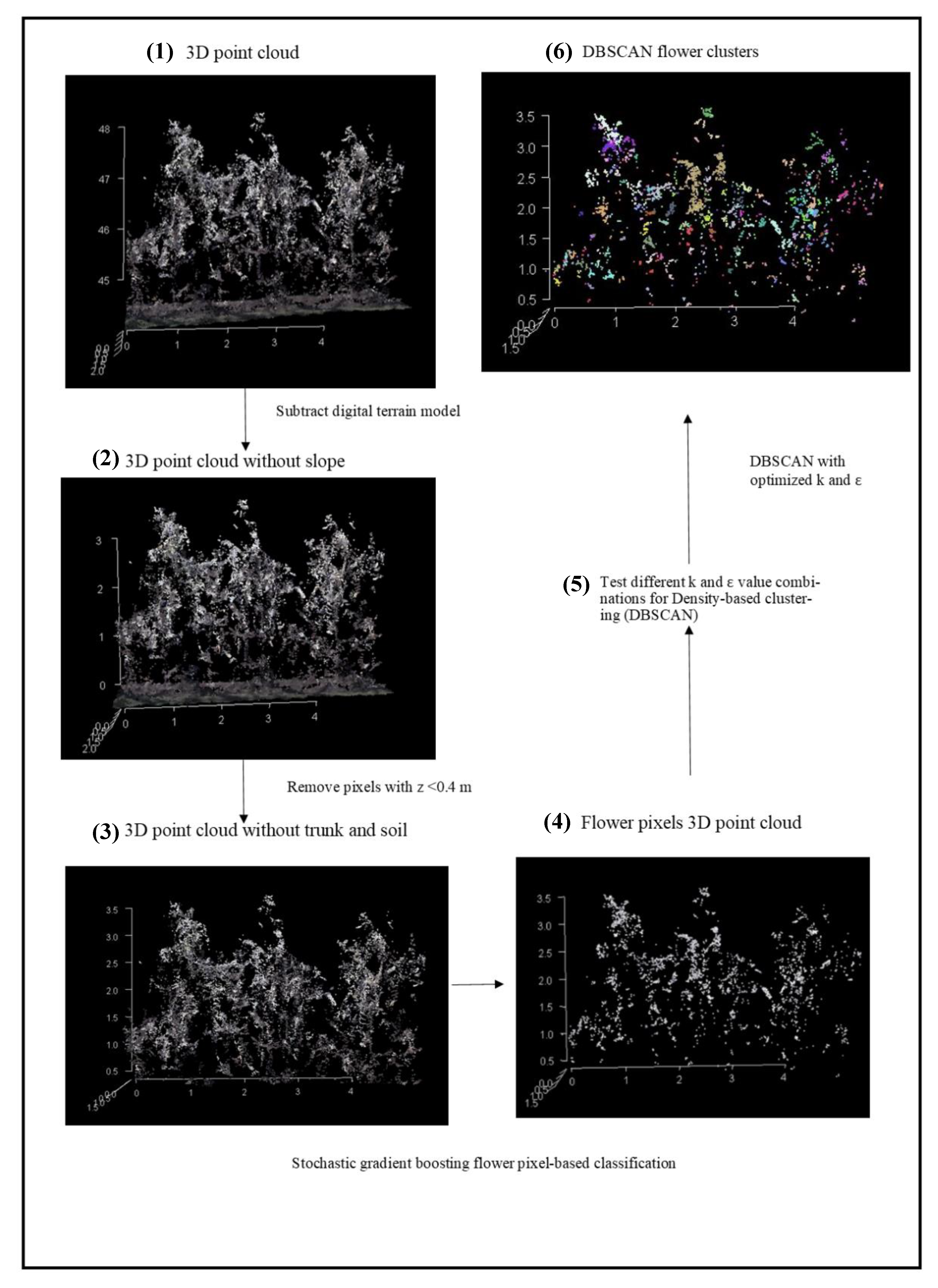 Agronomy 10 00407 g002