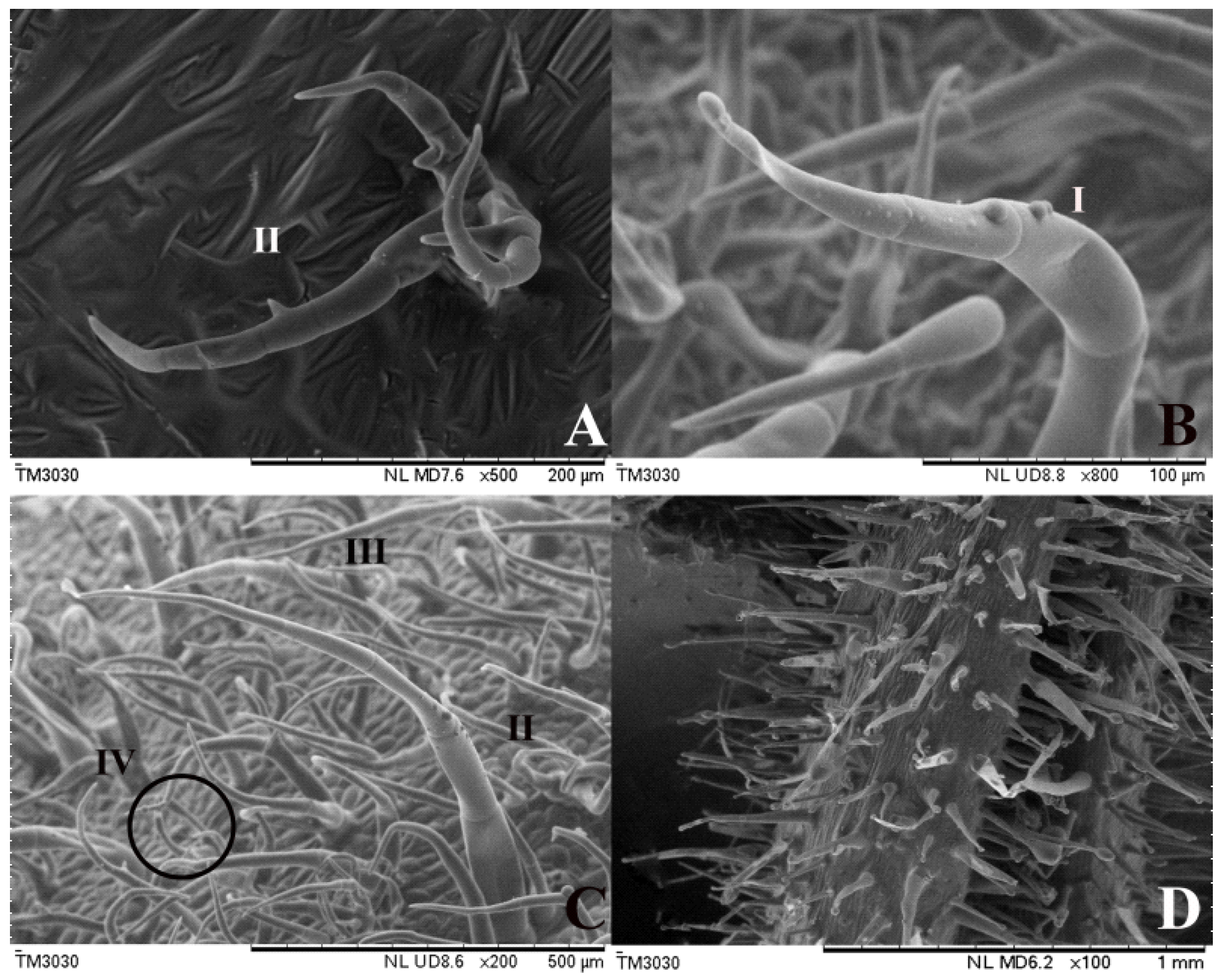 Agronomy 10 00411 g001 Agronomy 10 00411 g001