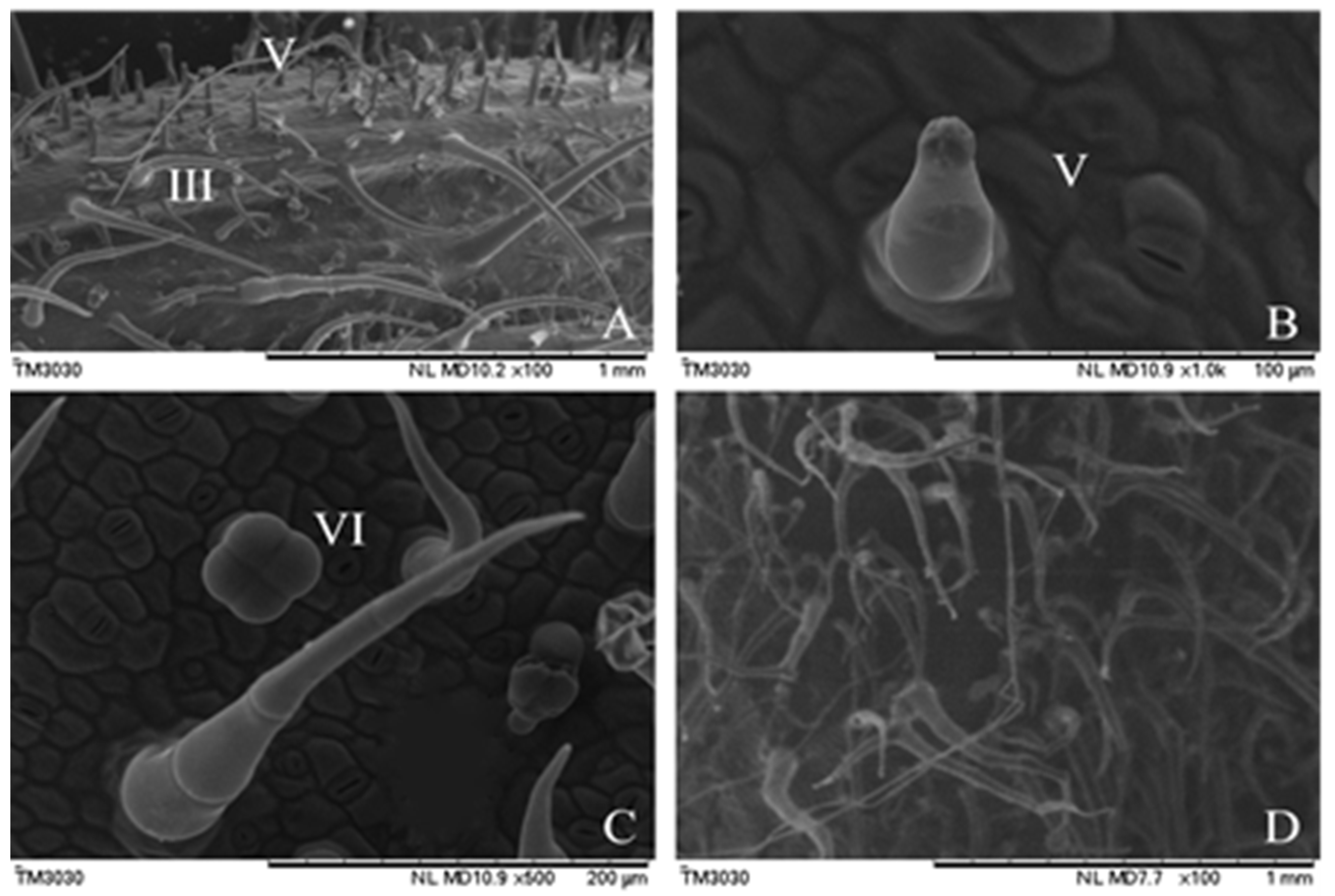 Agronomy 10 00411 g003 Agronomy 10 00411 g003