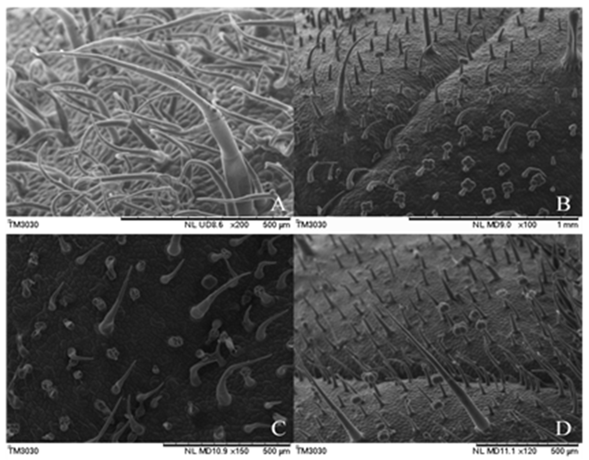 Agronomy 10 00411 g005 Agronomy 10 00411 g005