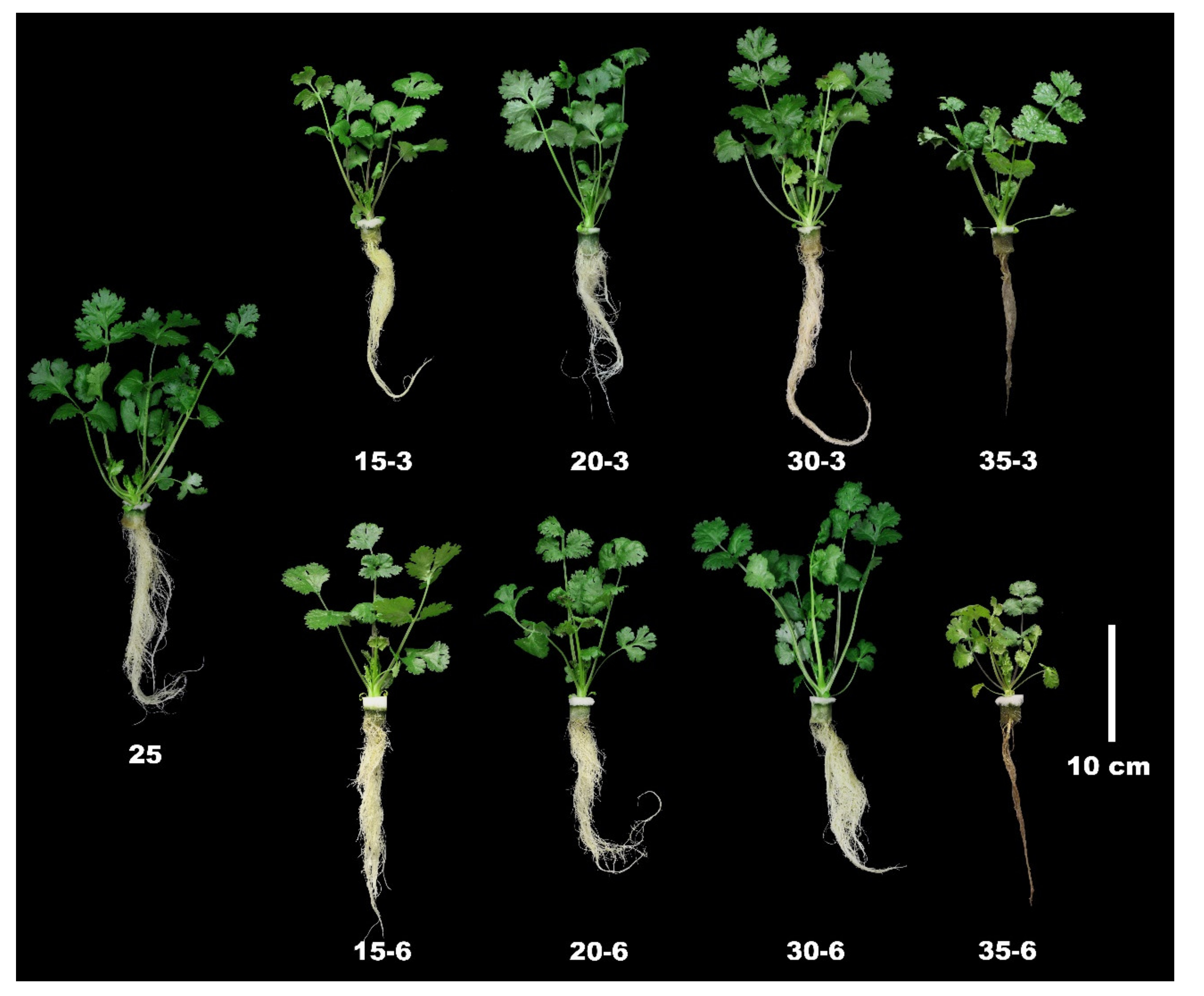 Agronomy 10 00413 g002 Agronomy 10 00413 g002