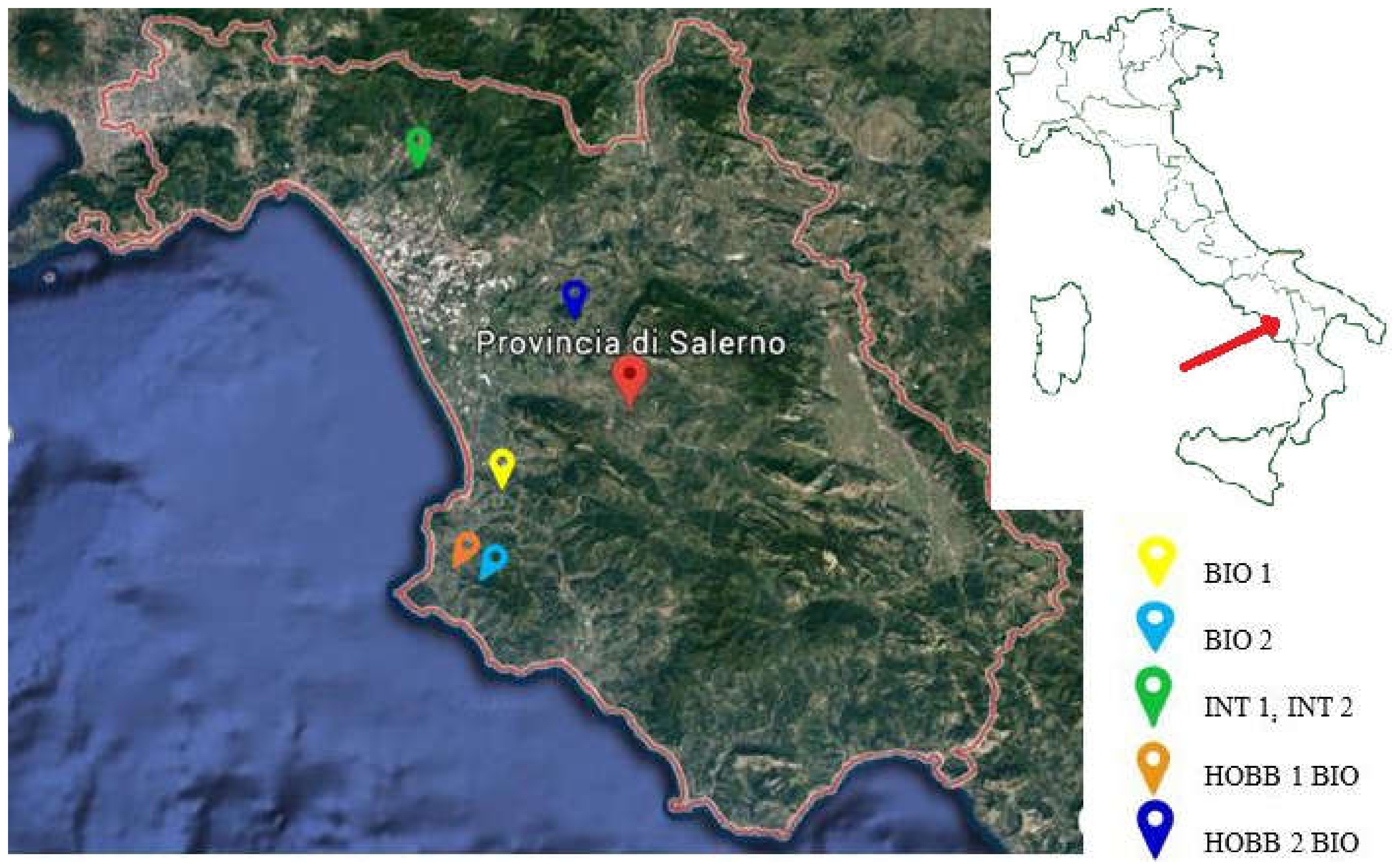 Agronomy 10 00416 g001