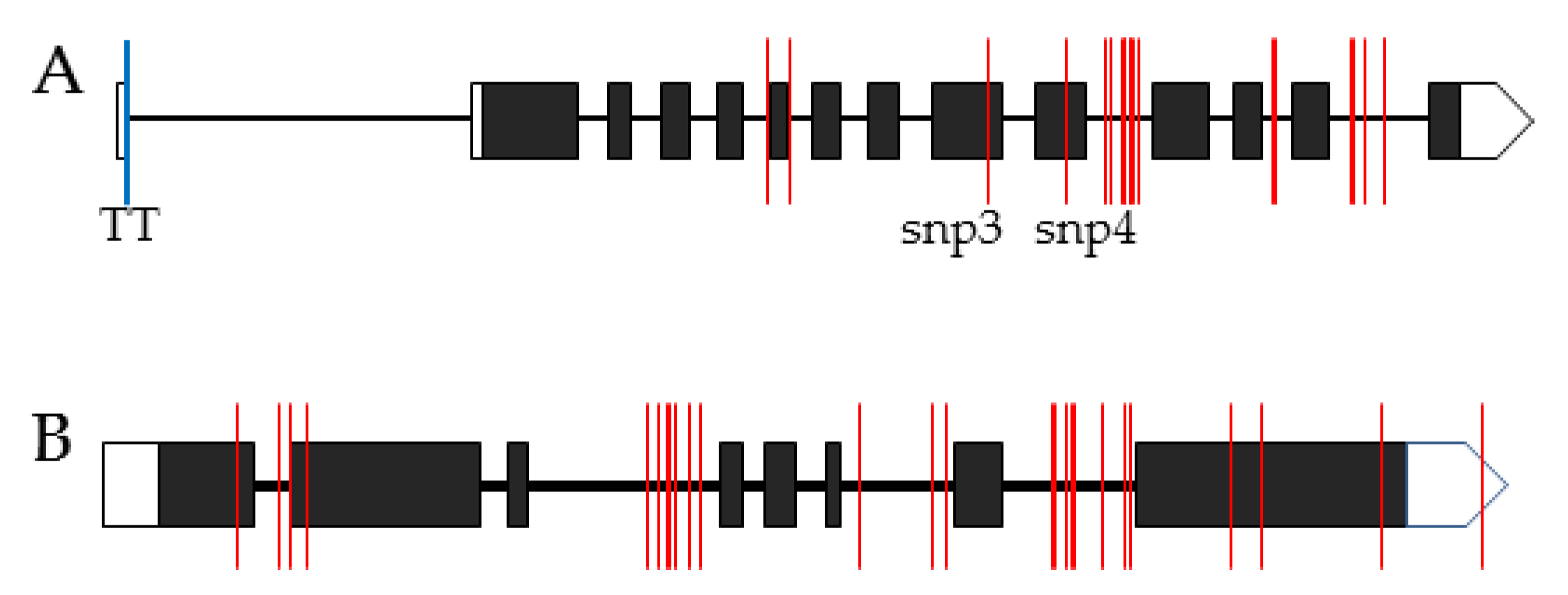 Agronomy 10 00423 g008 Agronomy 10 00423 g008