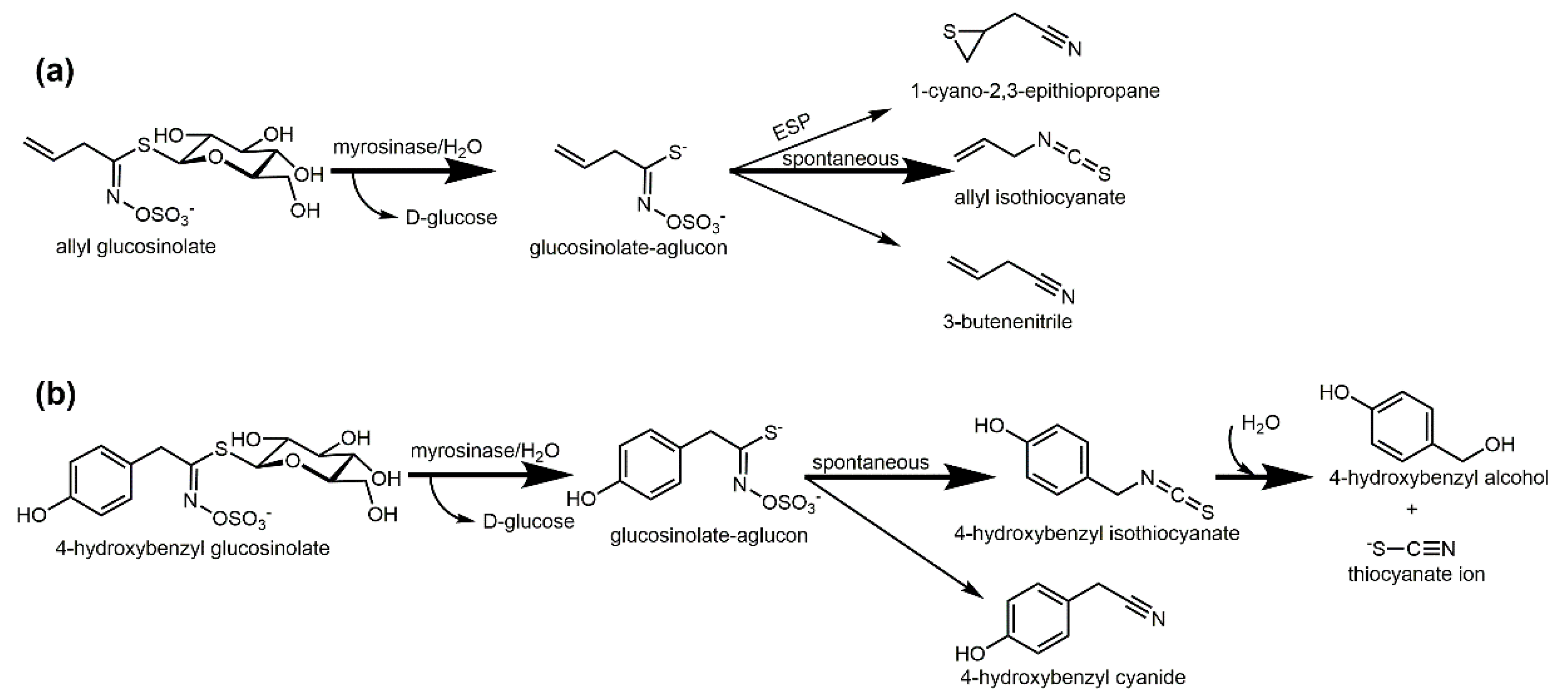 Agronomy 10 00425 g001
