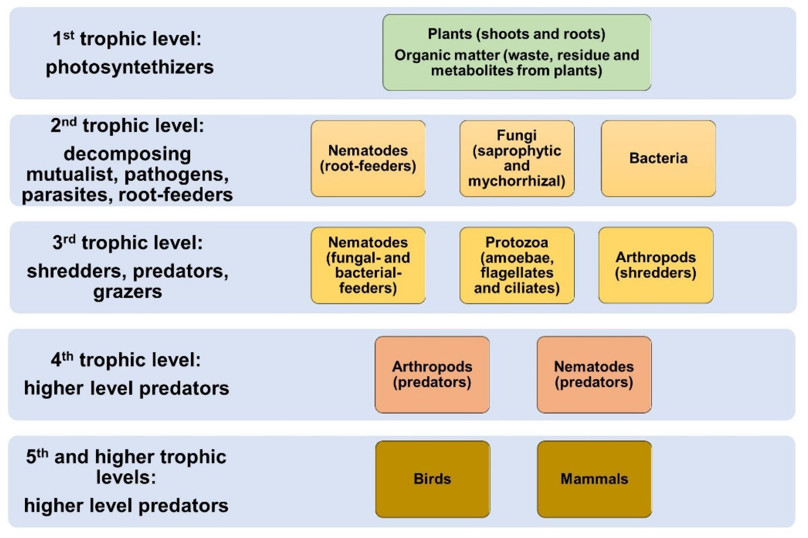 Agronomy 10 00456 g002