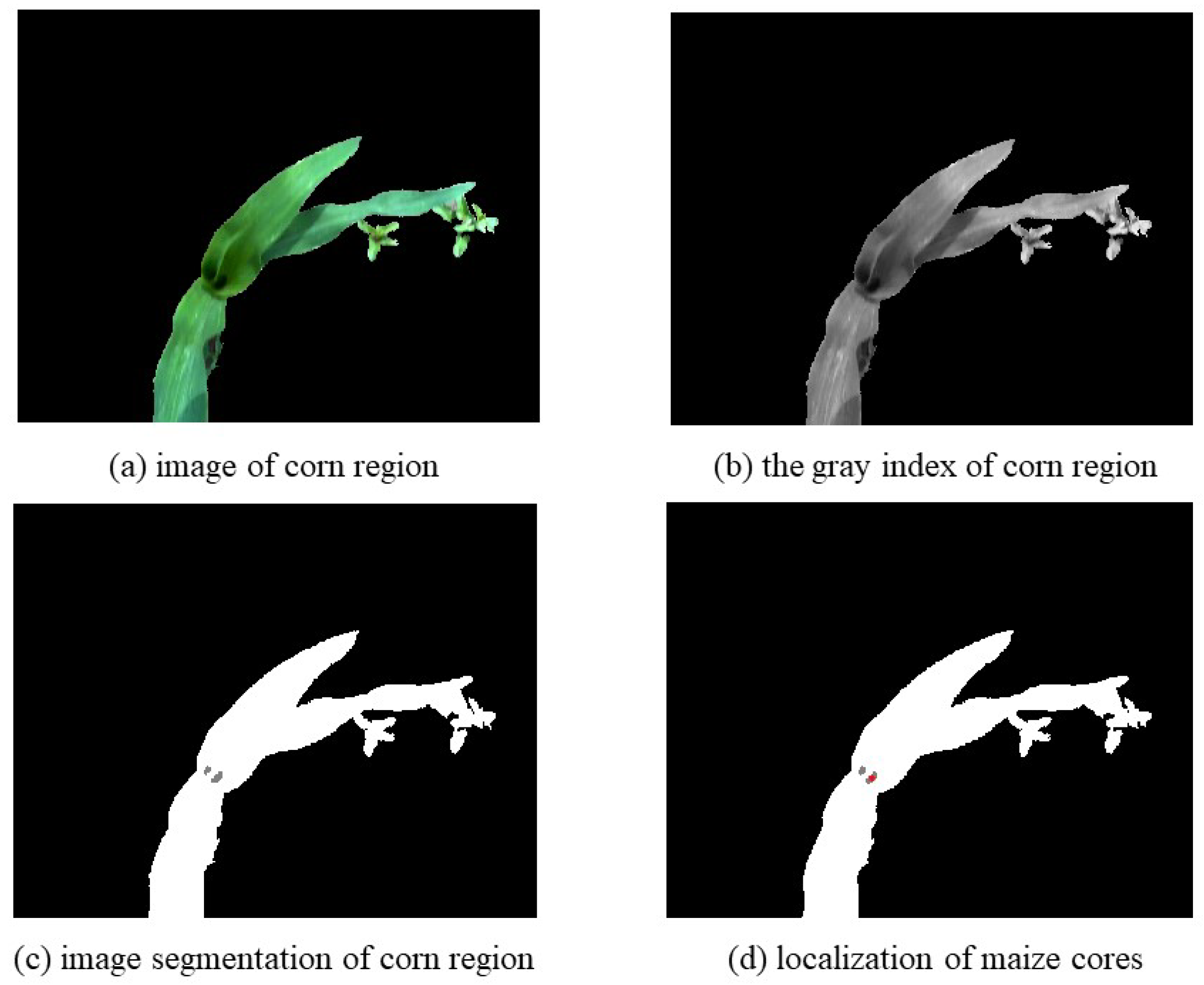 Agronomy 10 00470 g005 Agronomy 10 00470 g005