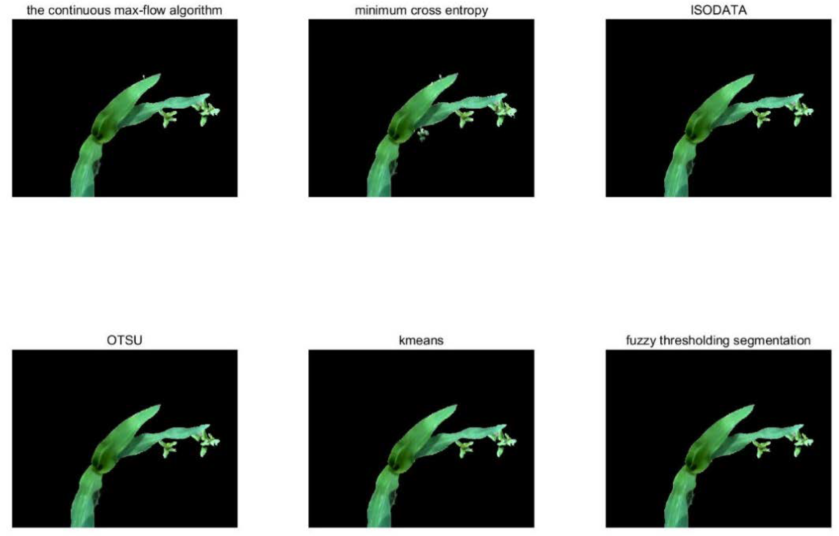 Agronomy 10 00470 g006 Agronomy 10 00470 g006