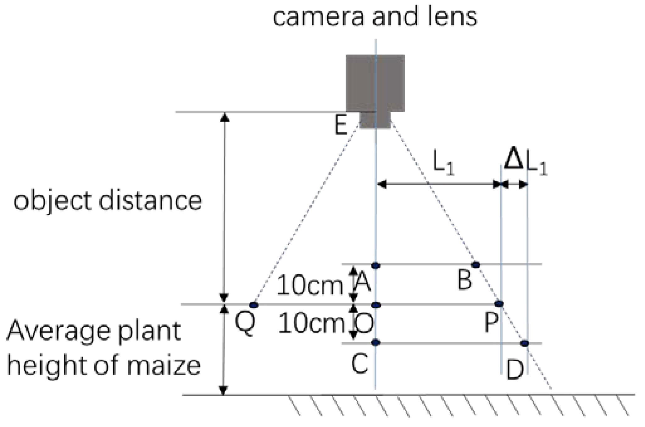 Agronomy 10 00470 g013 Agronomy 10 00470 g013