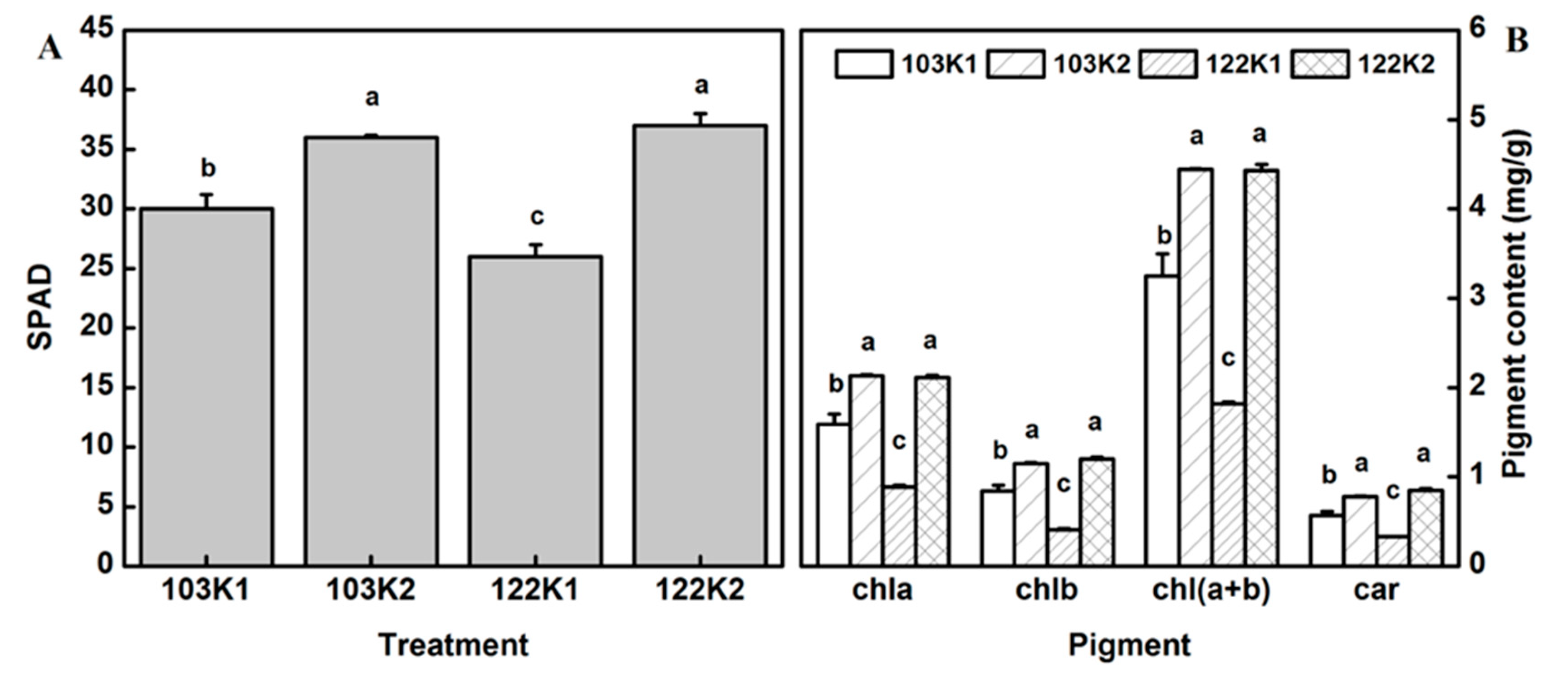 Agronomy 10 00479 g002