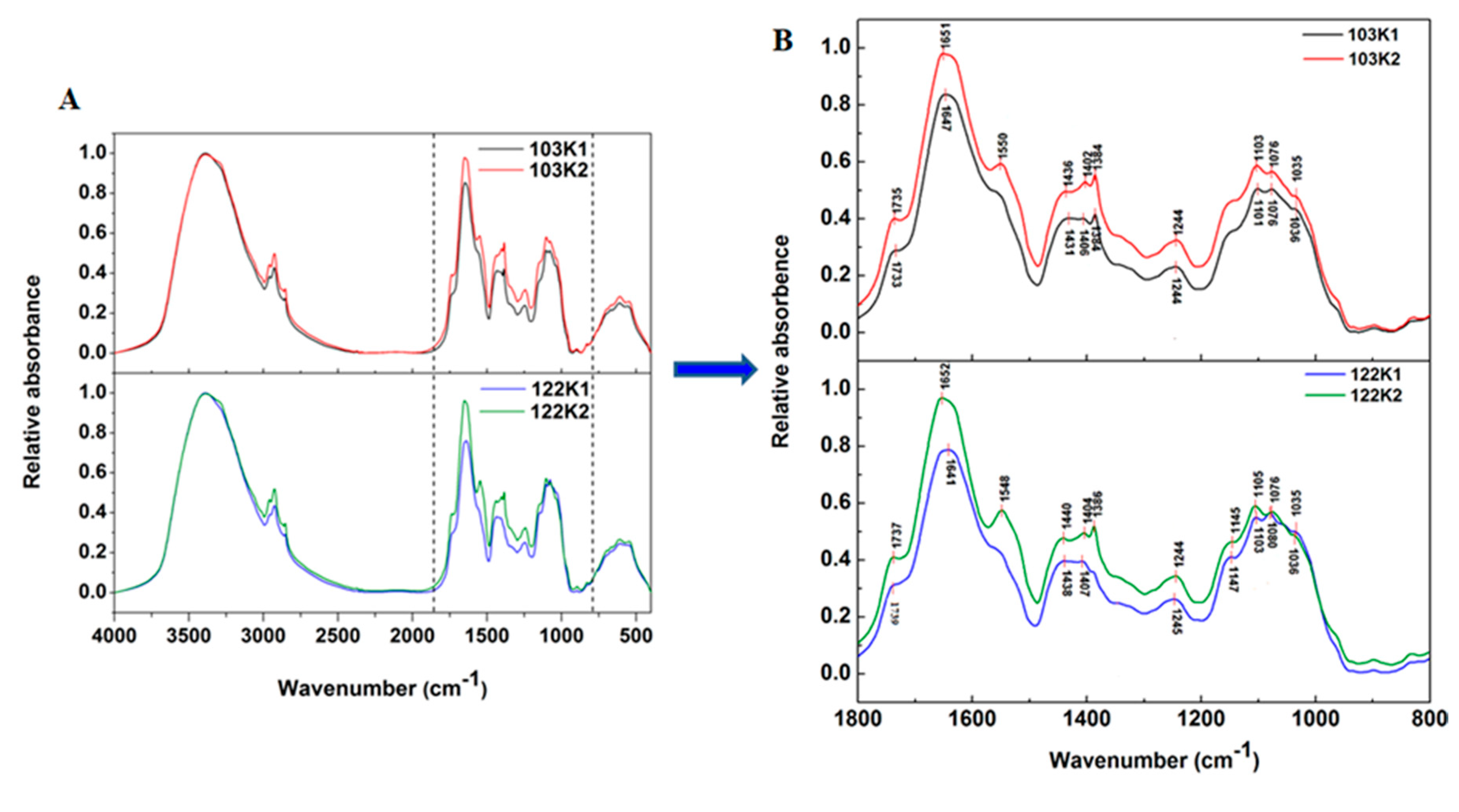 Agronomy 10 00479 g003