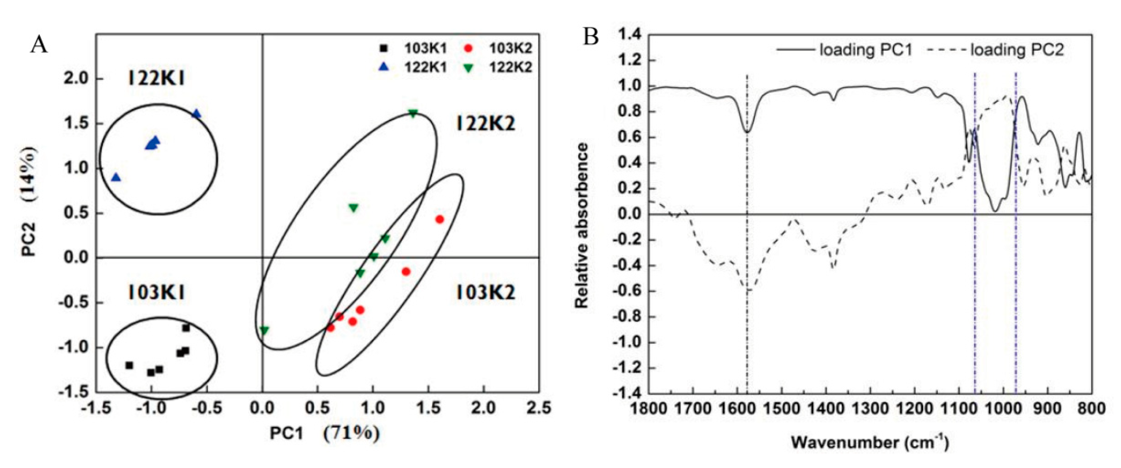 Agronomy 10 00479 g004