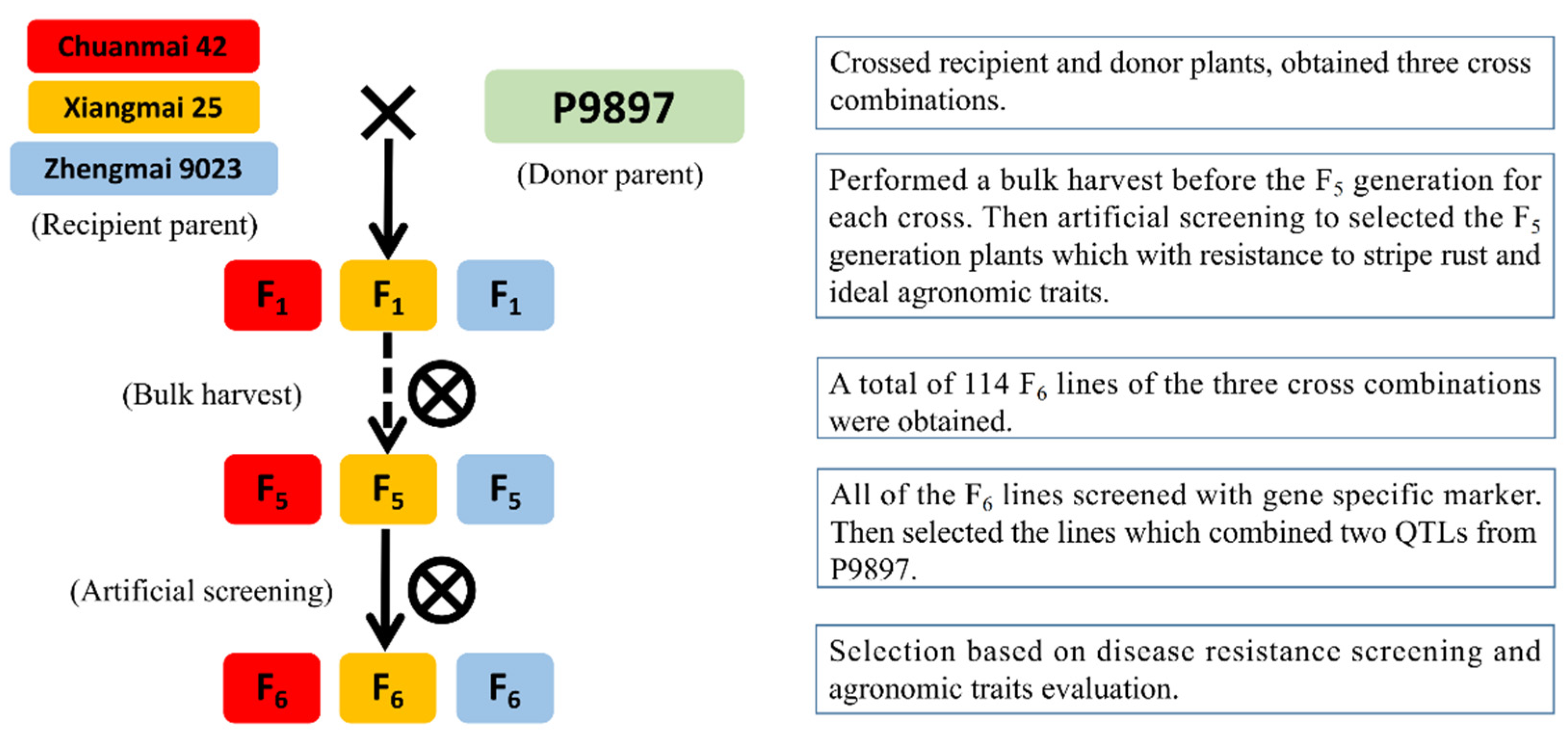 Agronomy 10 00483 g001