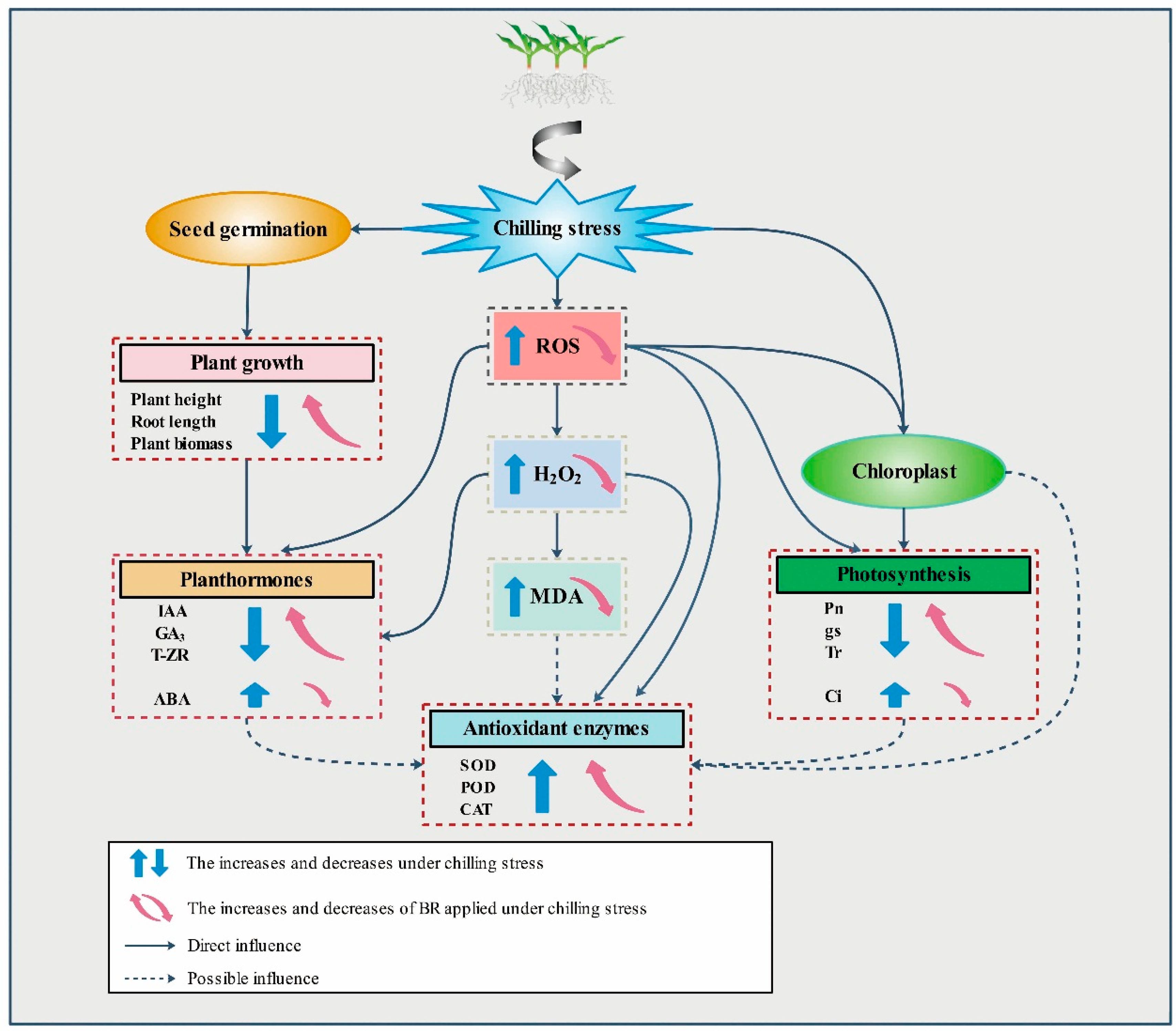 Agronomy 10 00488 g006