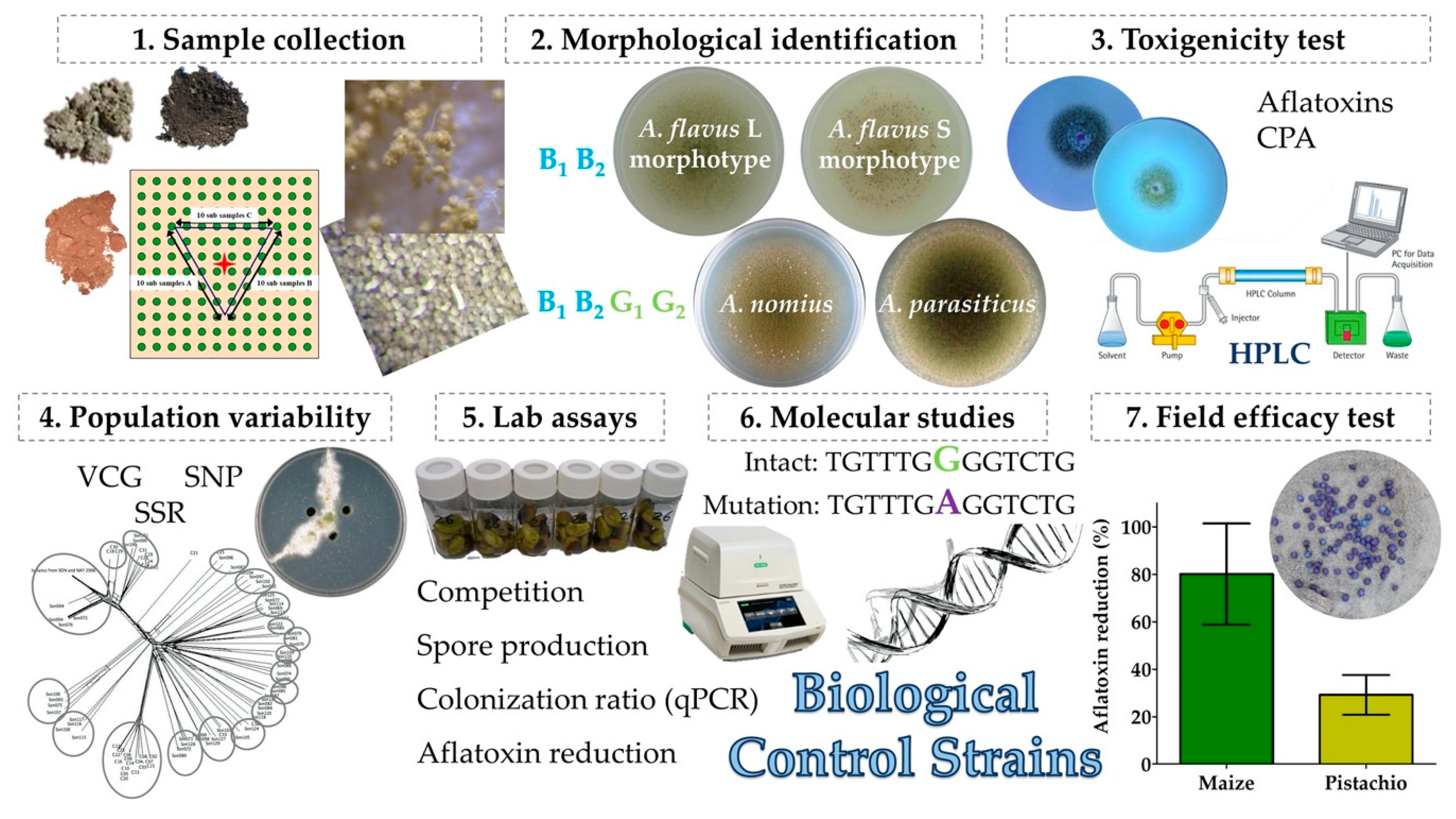 Agronomy 10 00491 g002