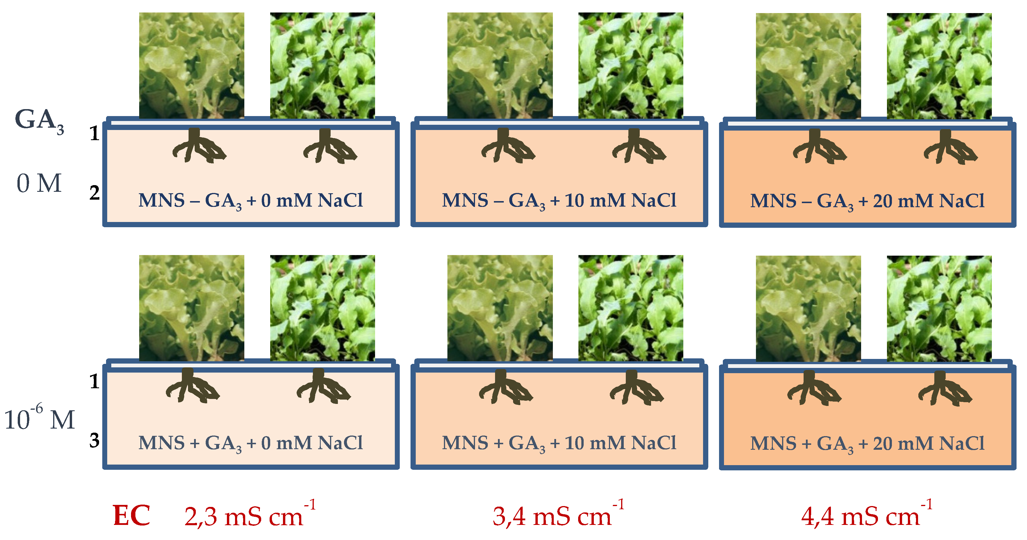 Agronomy 10 00505 g001 Agronomy 10 00505 g001