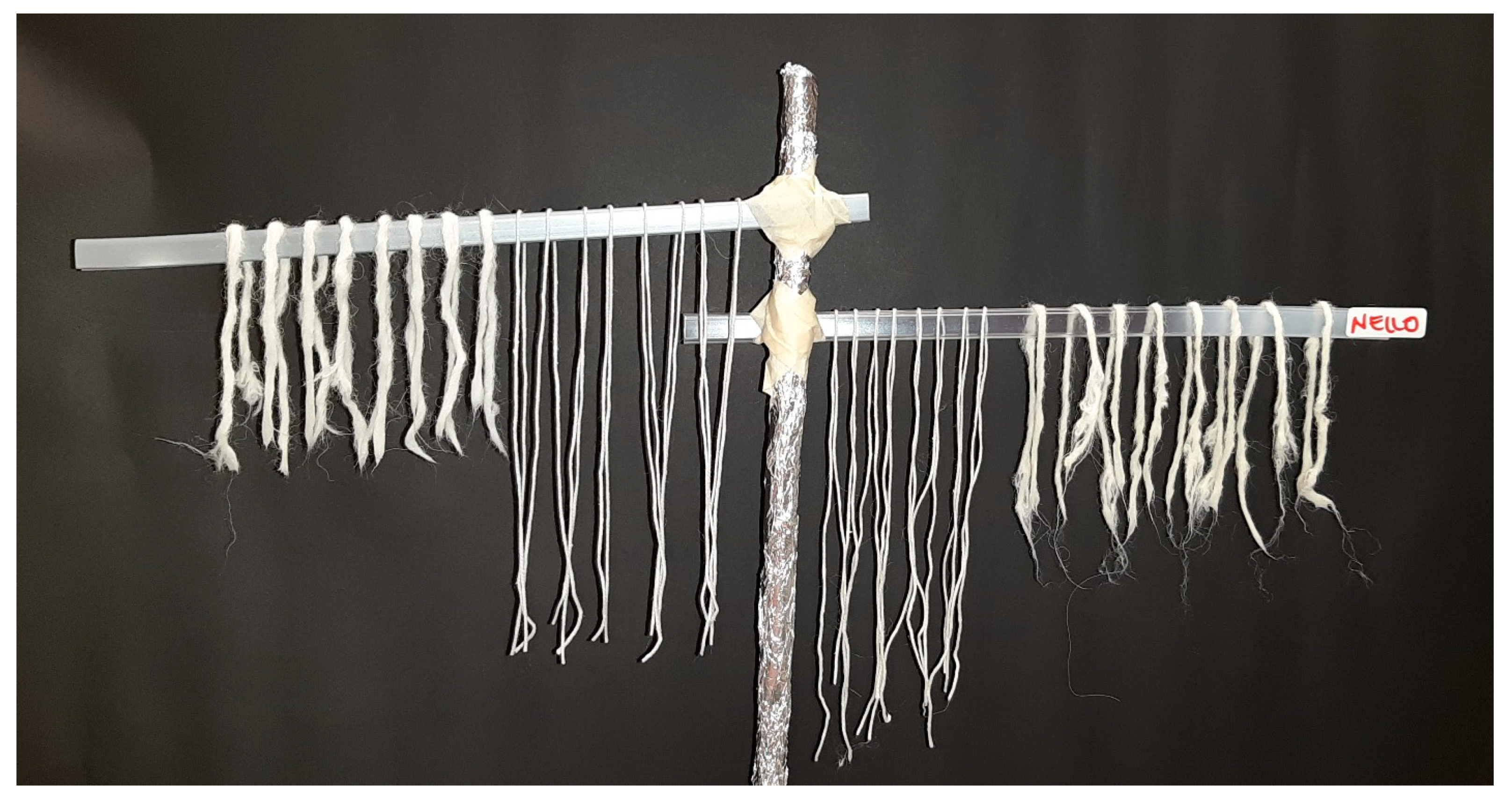 Agronomy 10 00528 g002