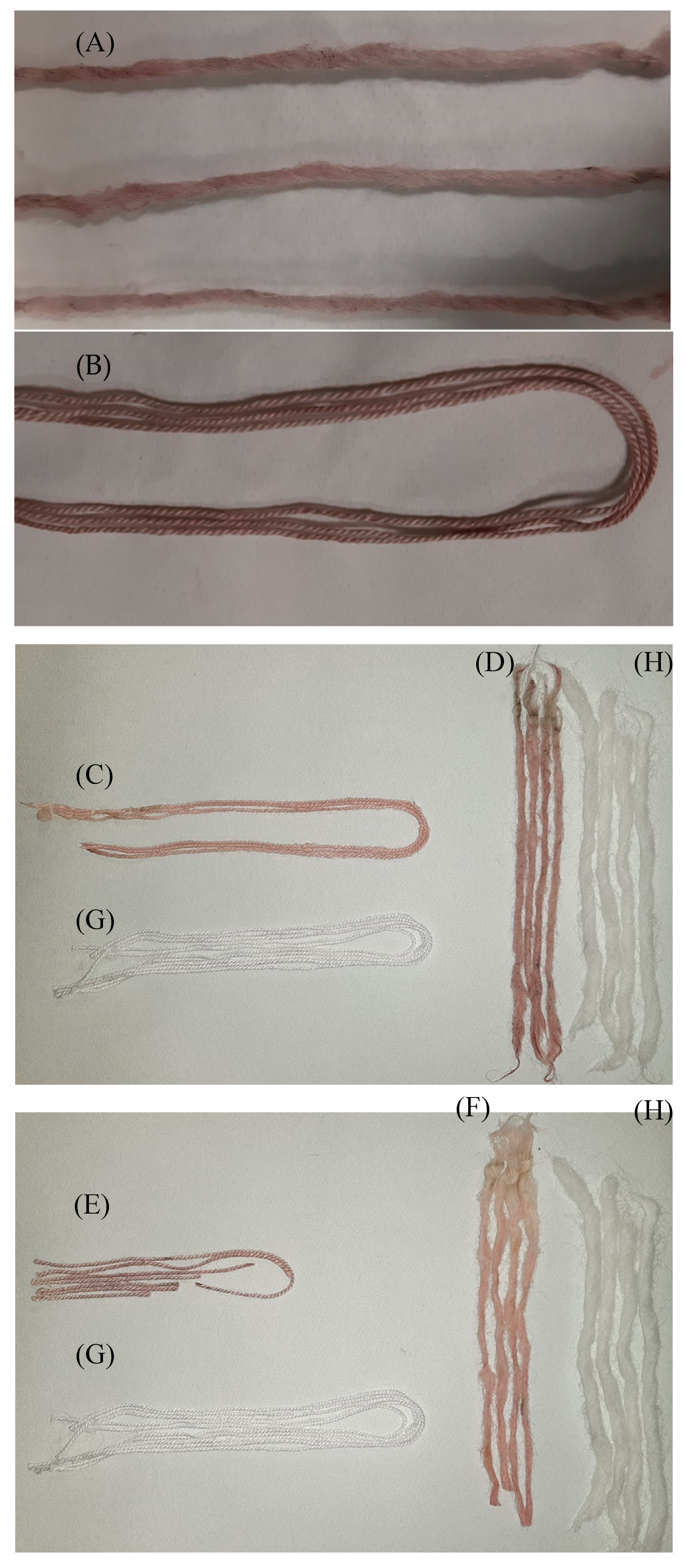 Agronomy 10 00528 g004