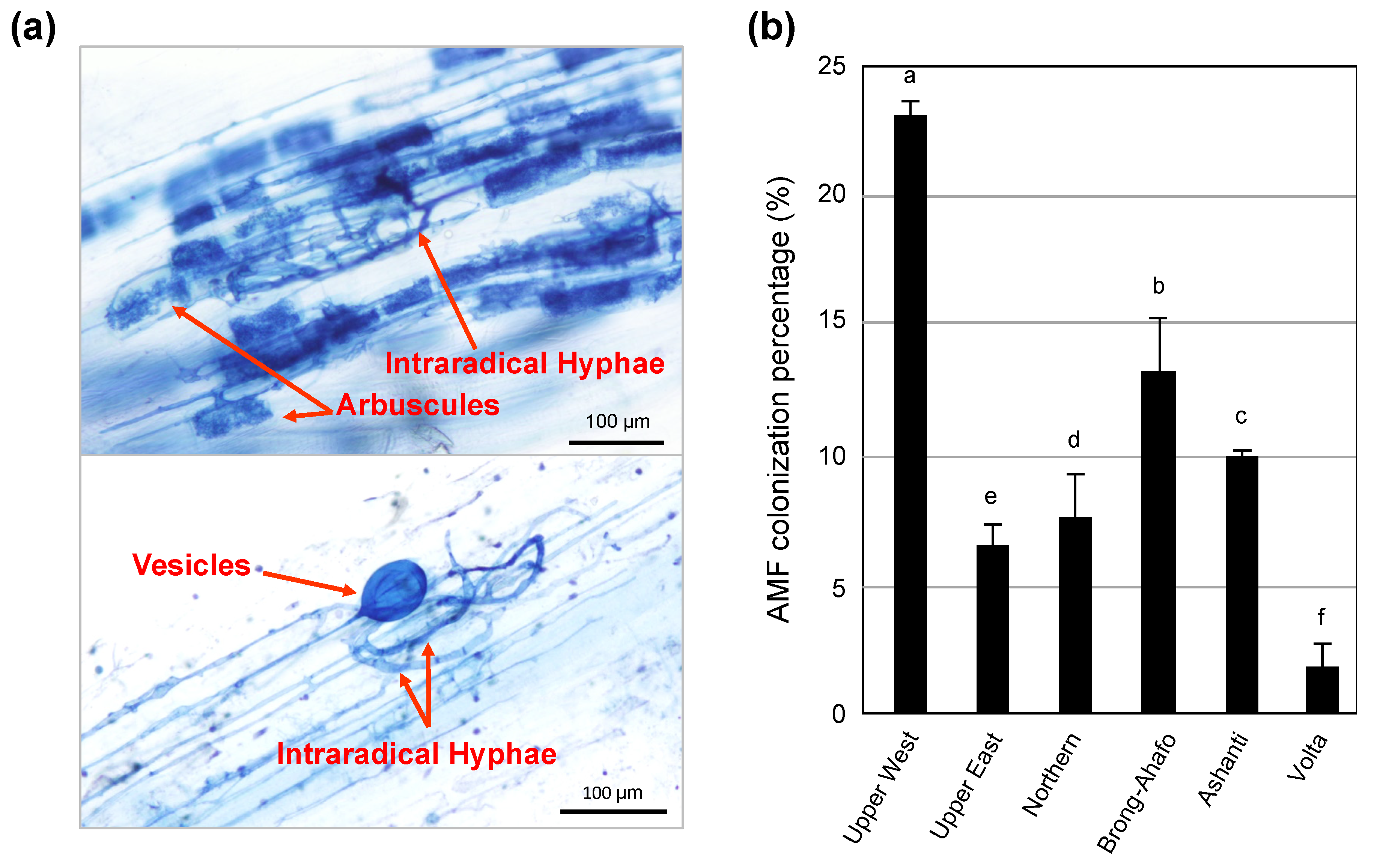 Agronomy 10 00559 g002
