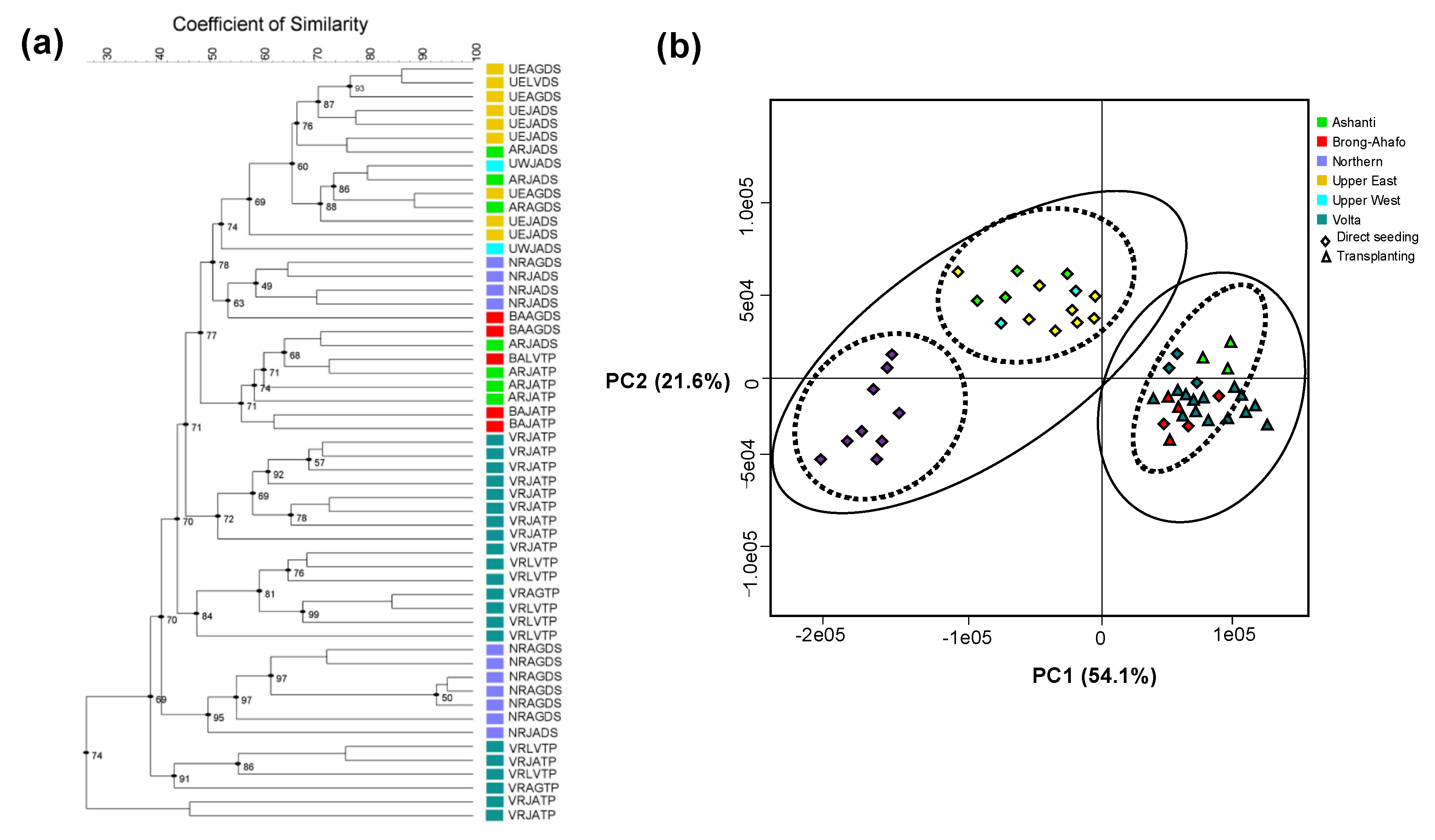 Agronomy 10 00559 g003