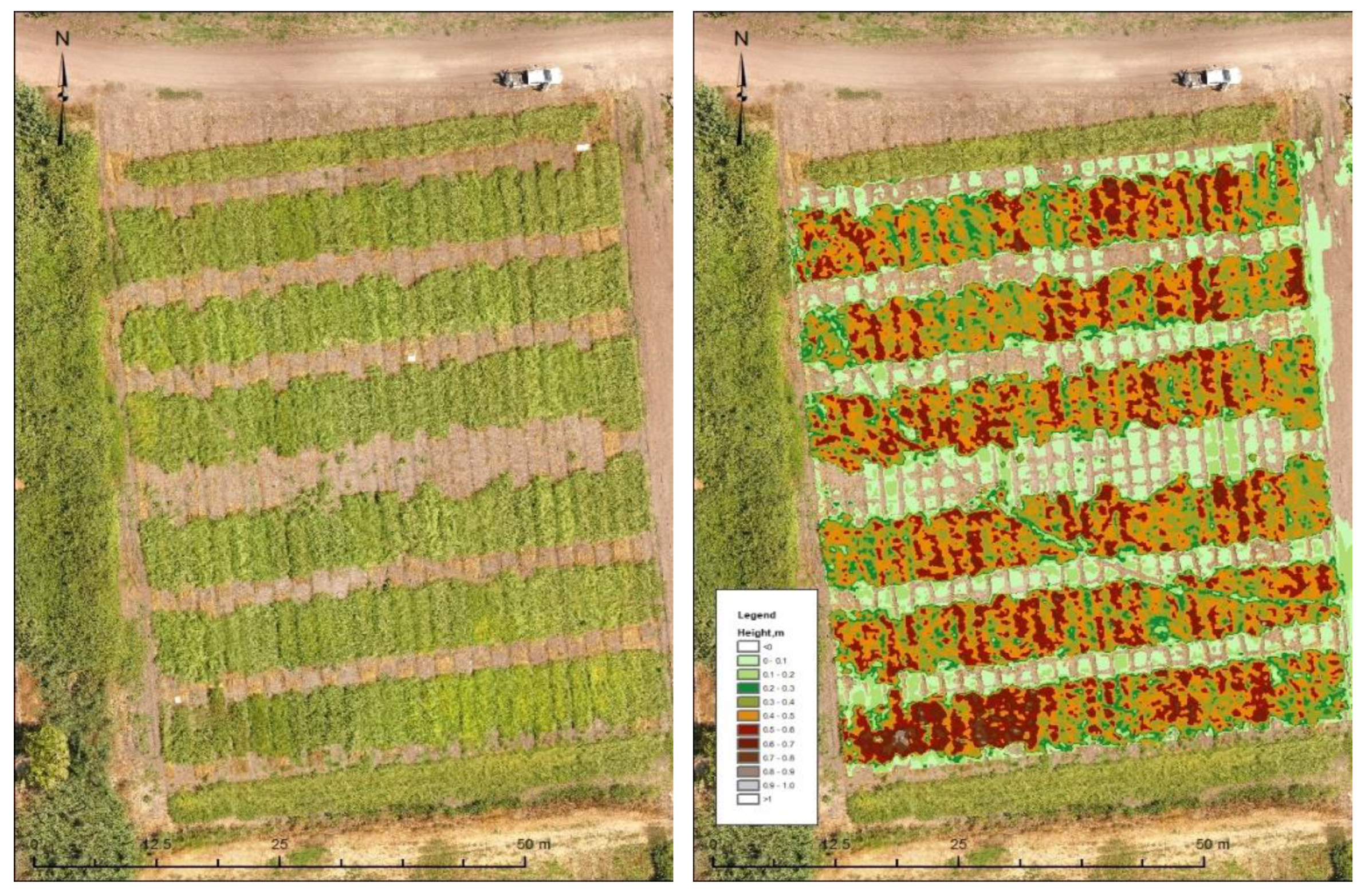 Agronomy 10 00570 g004 Agronomy 10 00570 g004
