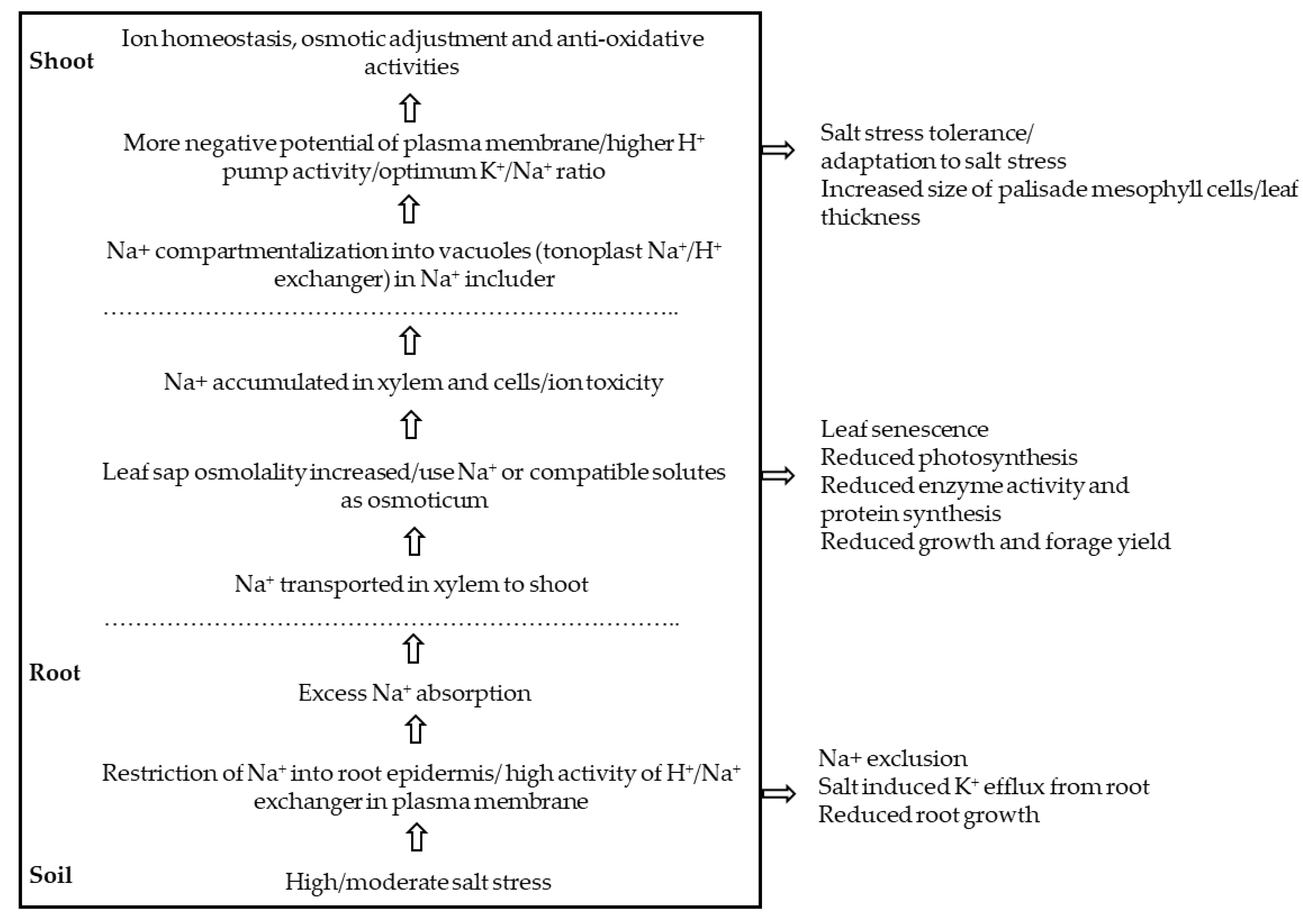 Agronomy 10 00577 g002