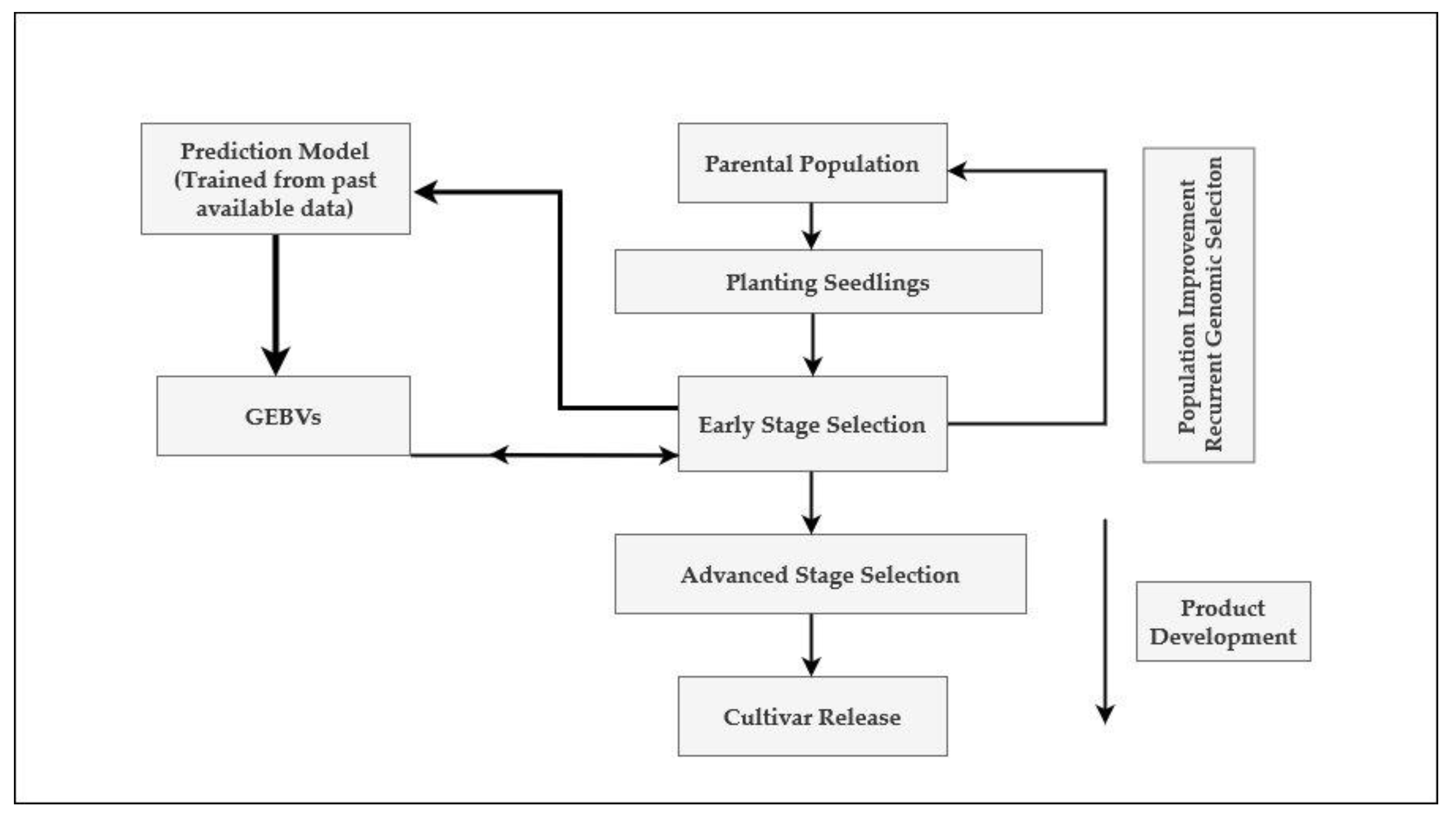 Agronomy 10 00585 g004 Agronomy 10 00585 g004