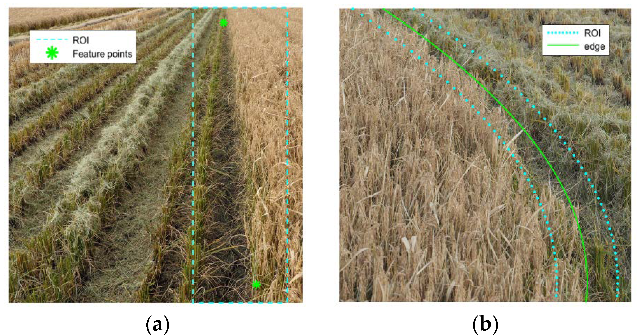 Agronomy 10 00590 g006