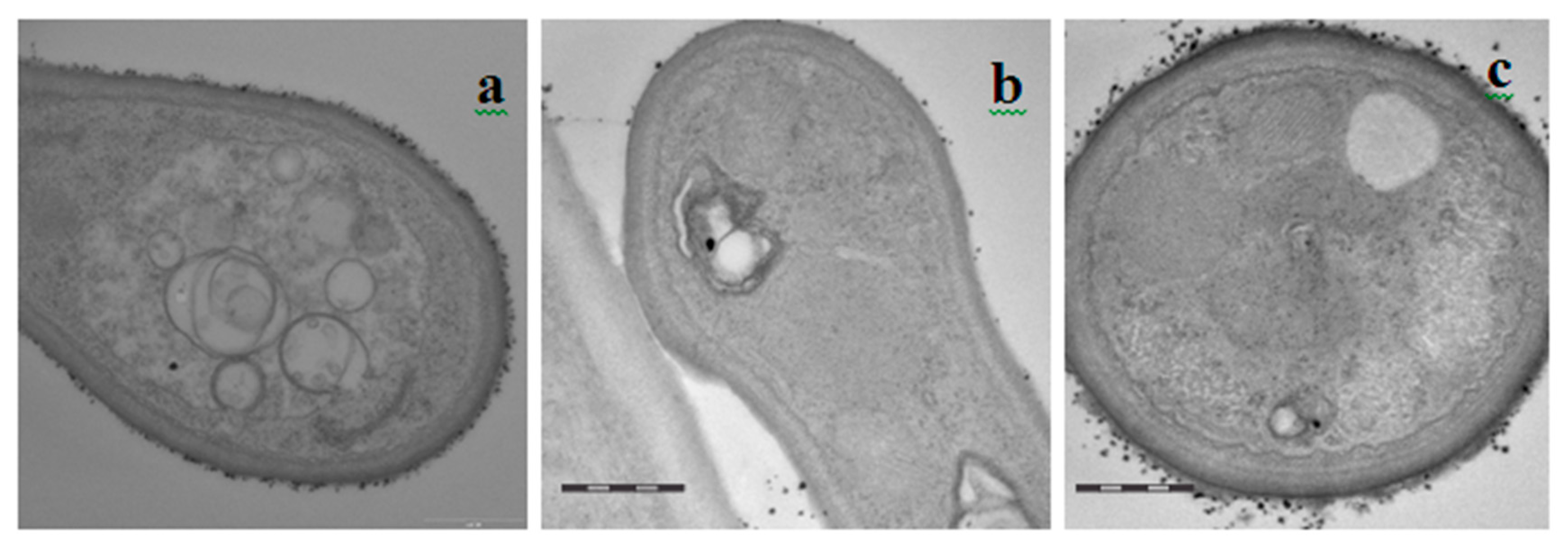 Agronomy 10 00609 g001 Agronomy 10 00609 g001