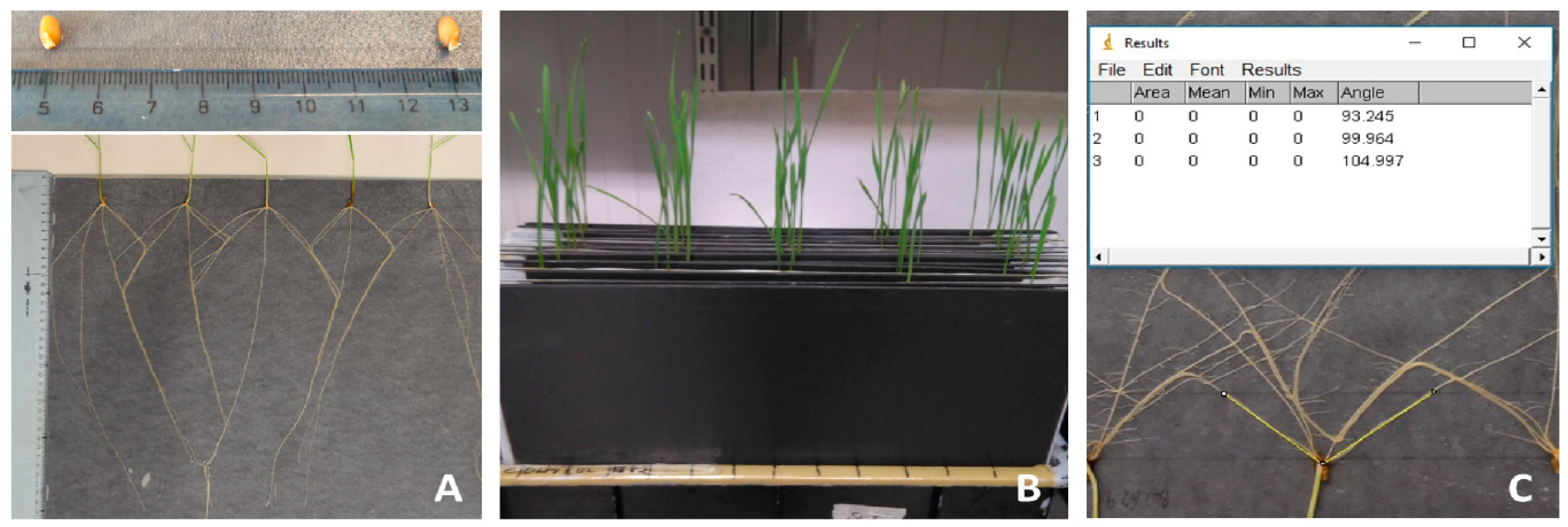 Agronomy 10 00613 g001