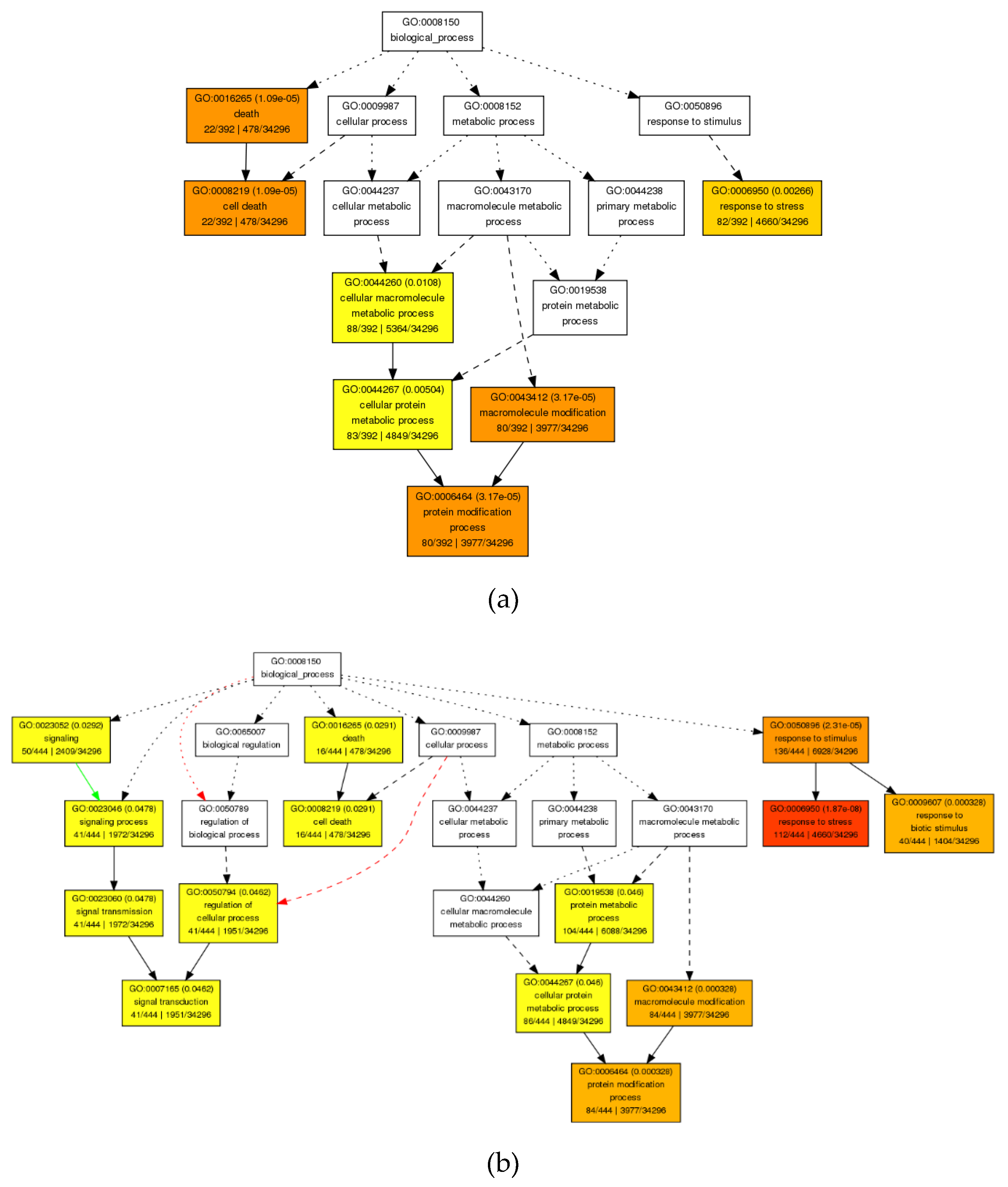 Agronomy 10 00621 g004