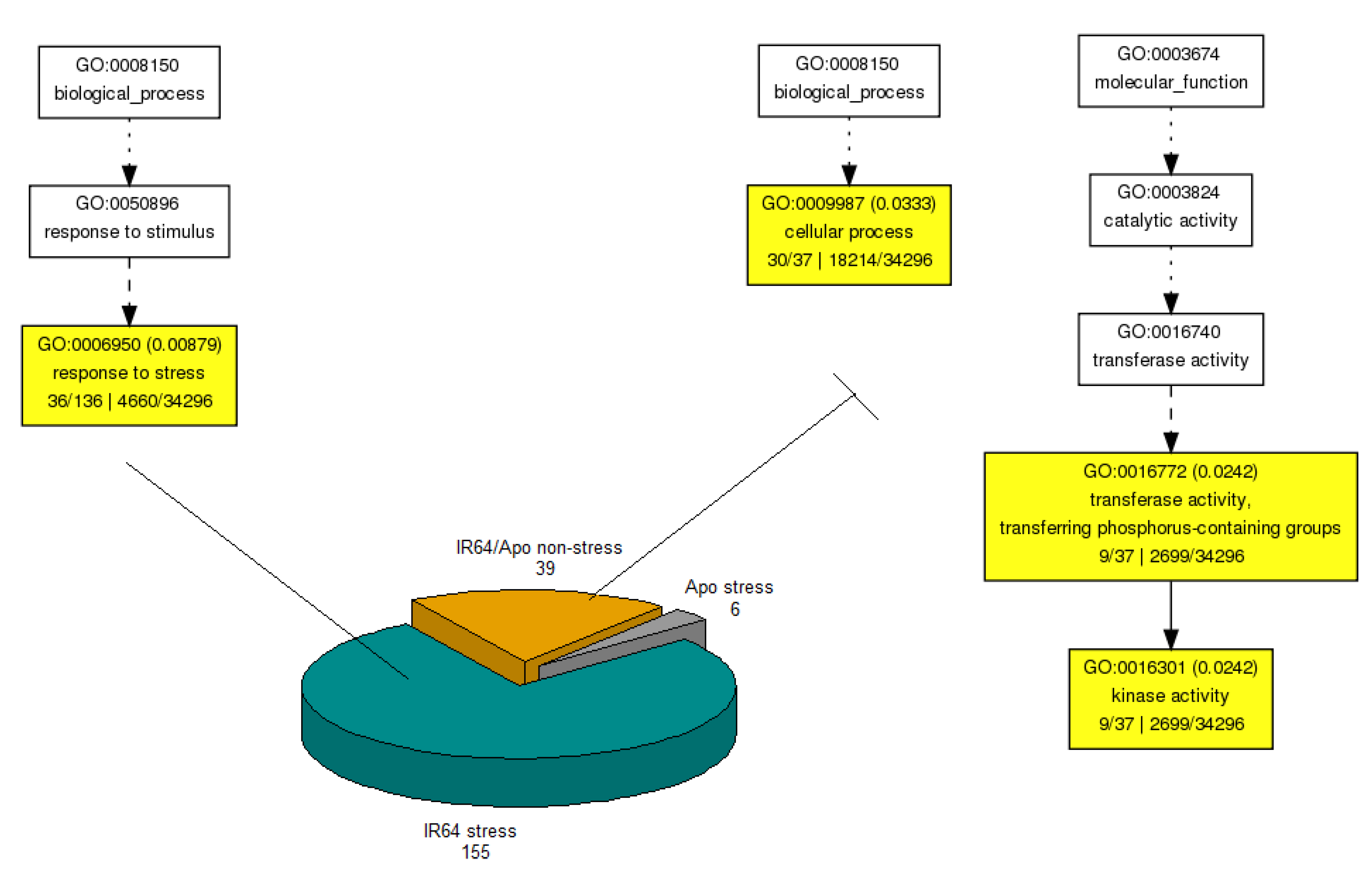 Agronomy 10 00621 g007