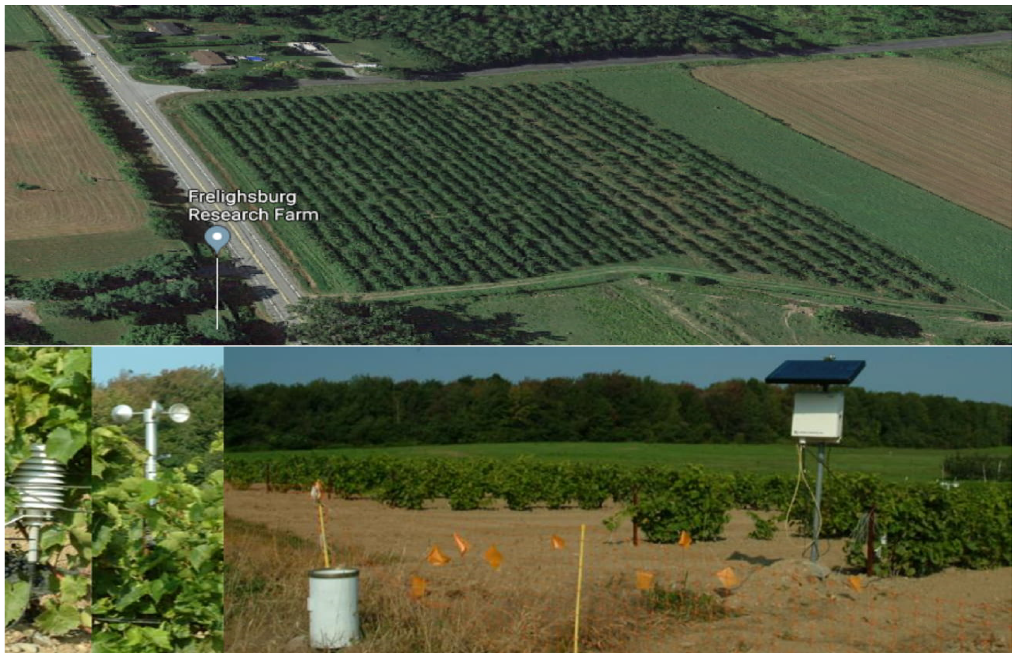 Agronomy 10 00622 g001