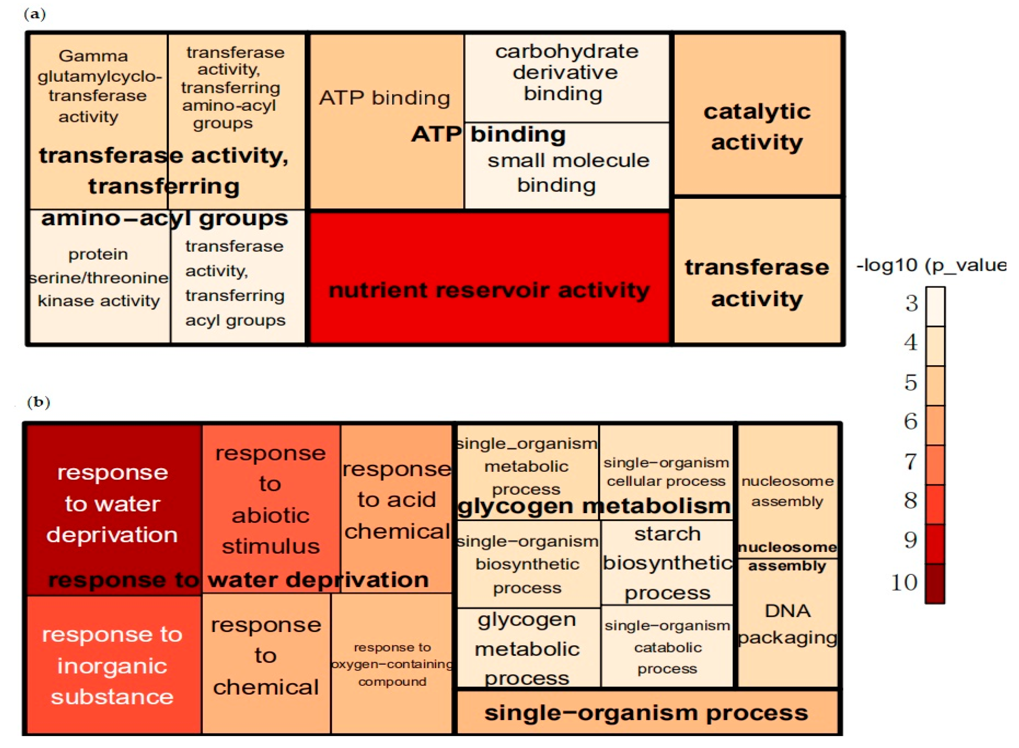 Agronomy 10 00624 g001