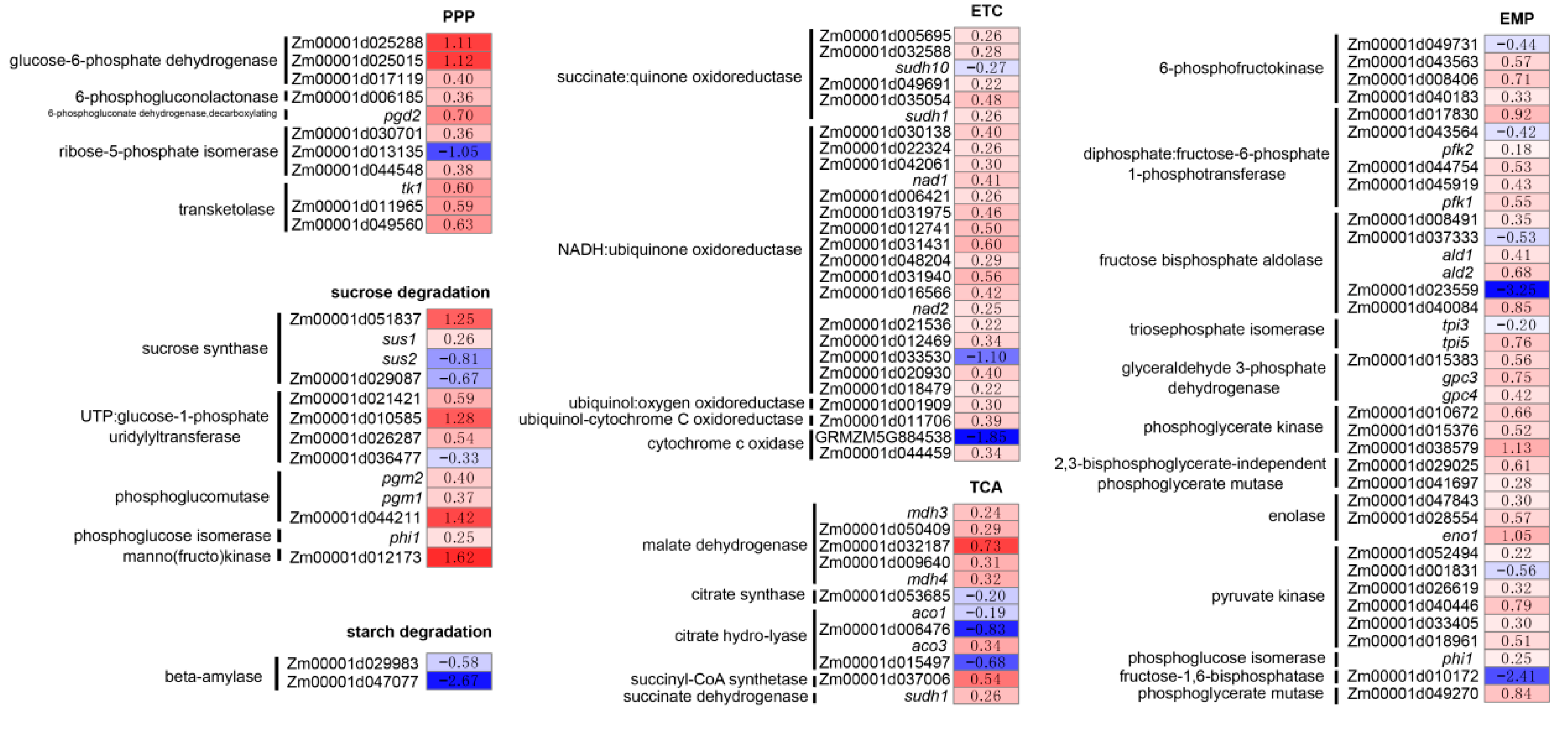 Agronomy 10 00624 g003