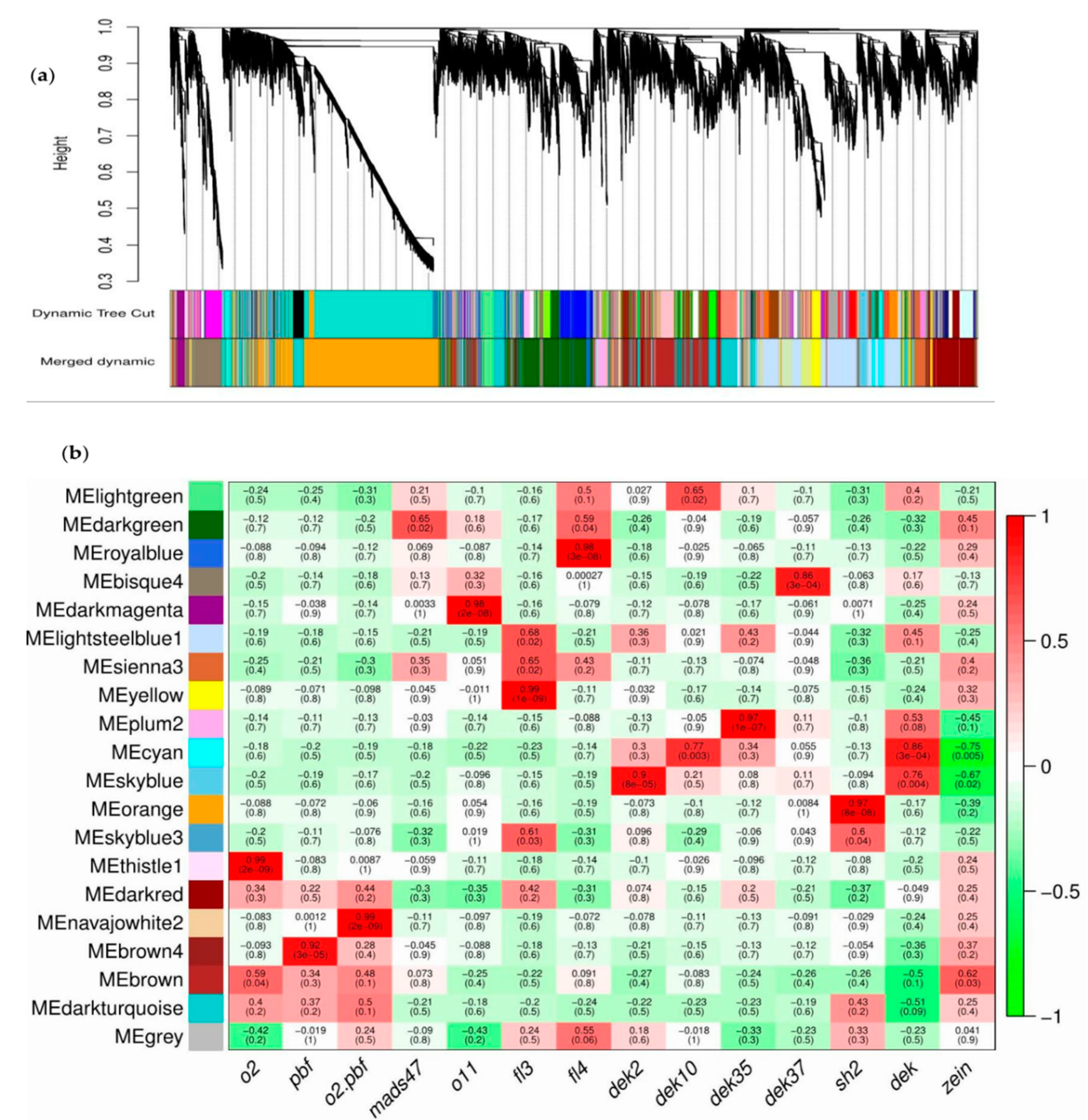 Agronomy 10 00624 g006