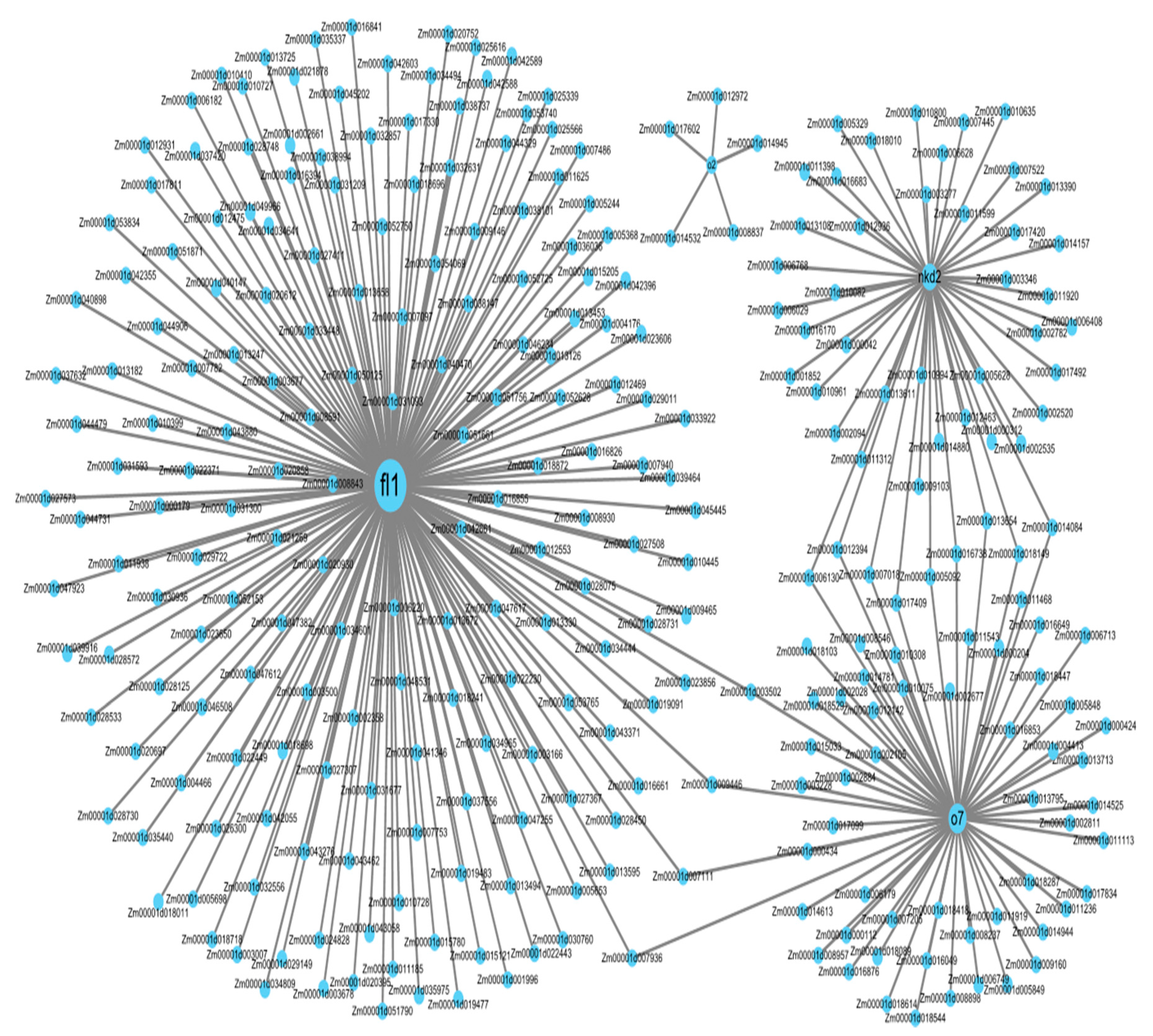 Agronomy 10 00624 g007