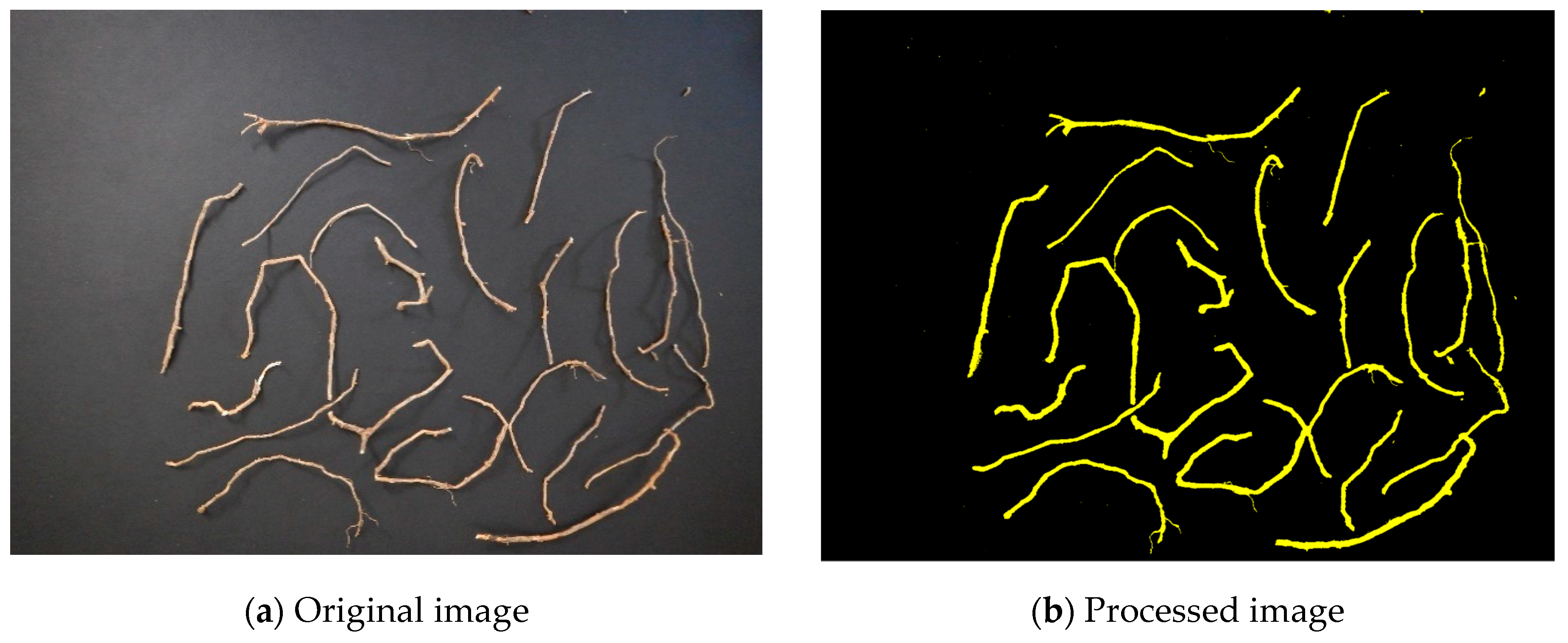 Agronomy 10 00635 g001