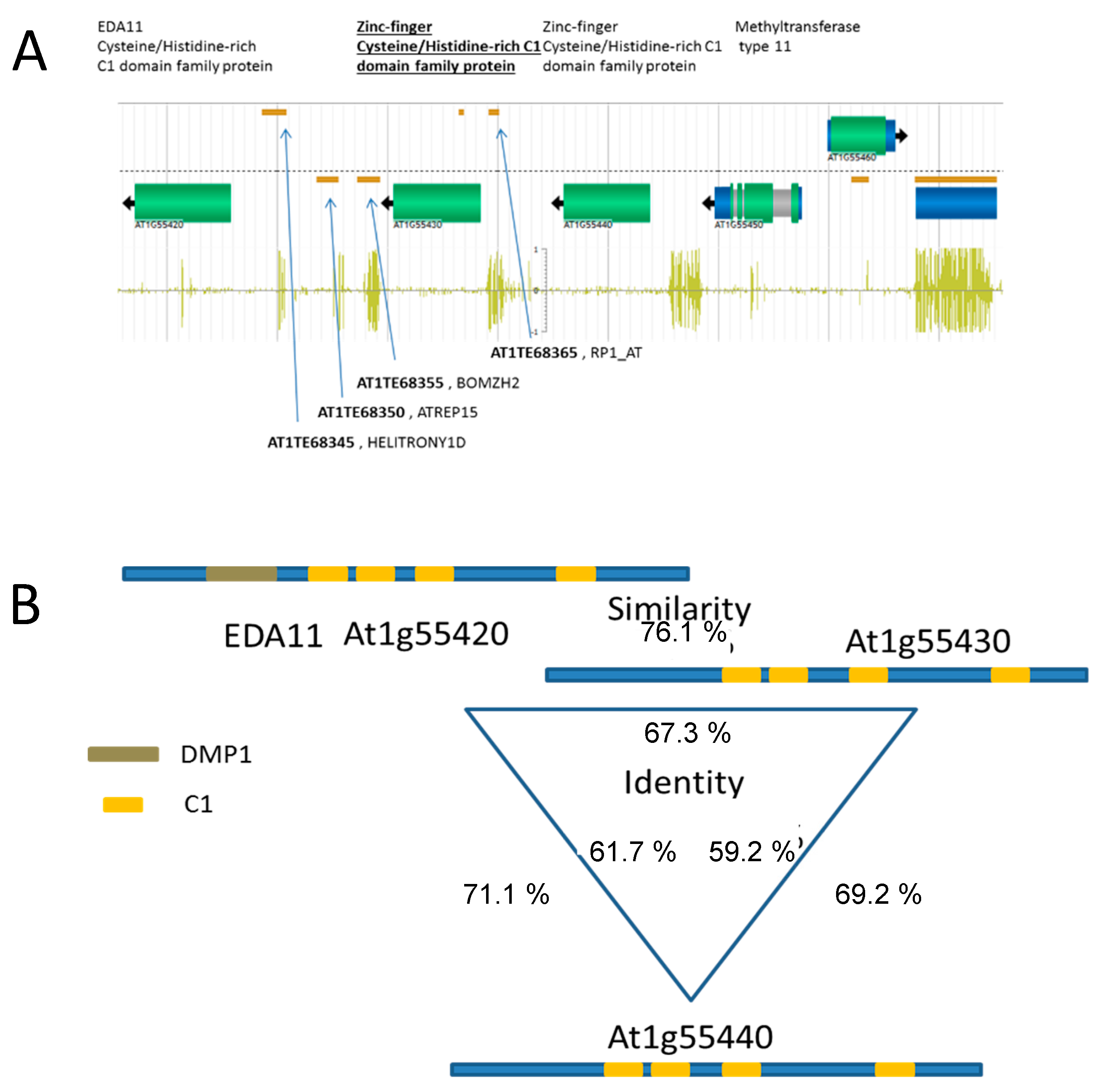 Agronomy 10 00636 g003 Agronomy 10 00636 g003
