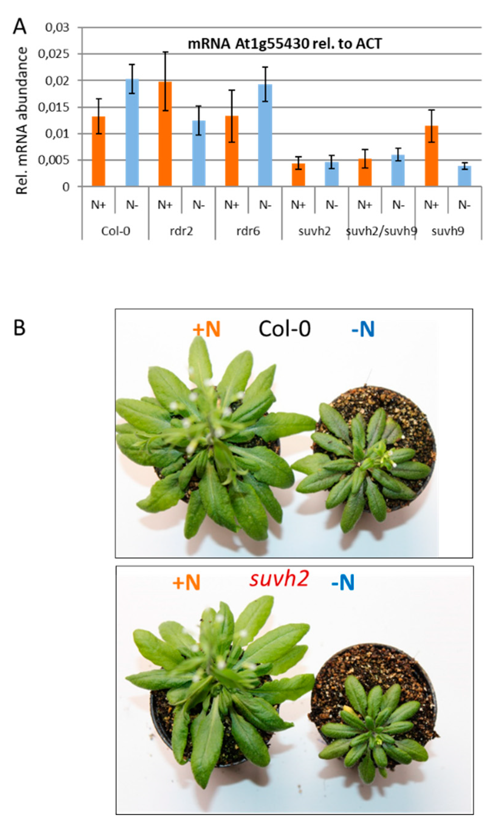 Agronomy 10 00636 g008 Agronomy 10 00636 g008