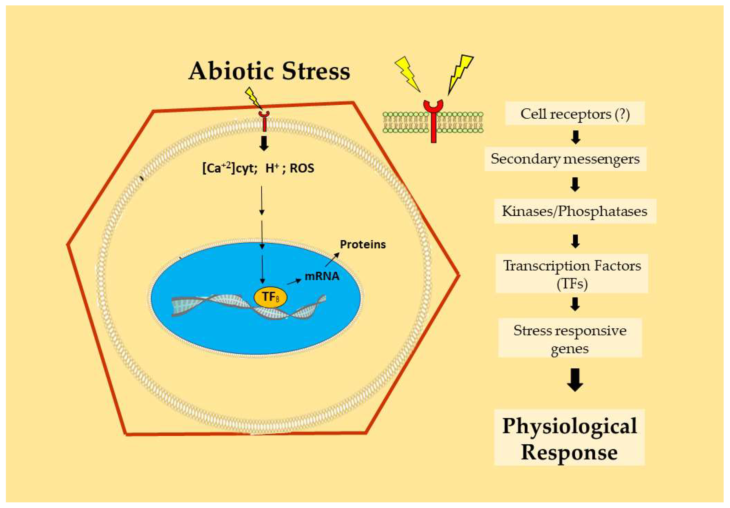 Agronomy 10 00640 g001