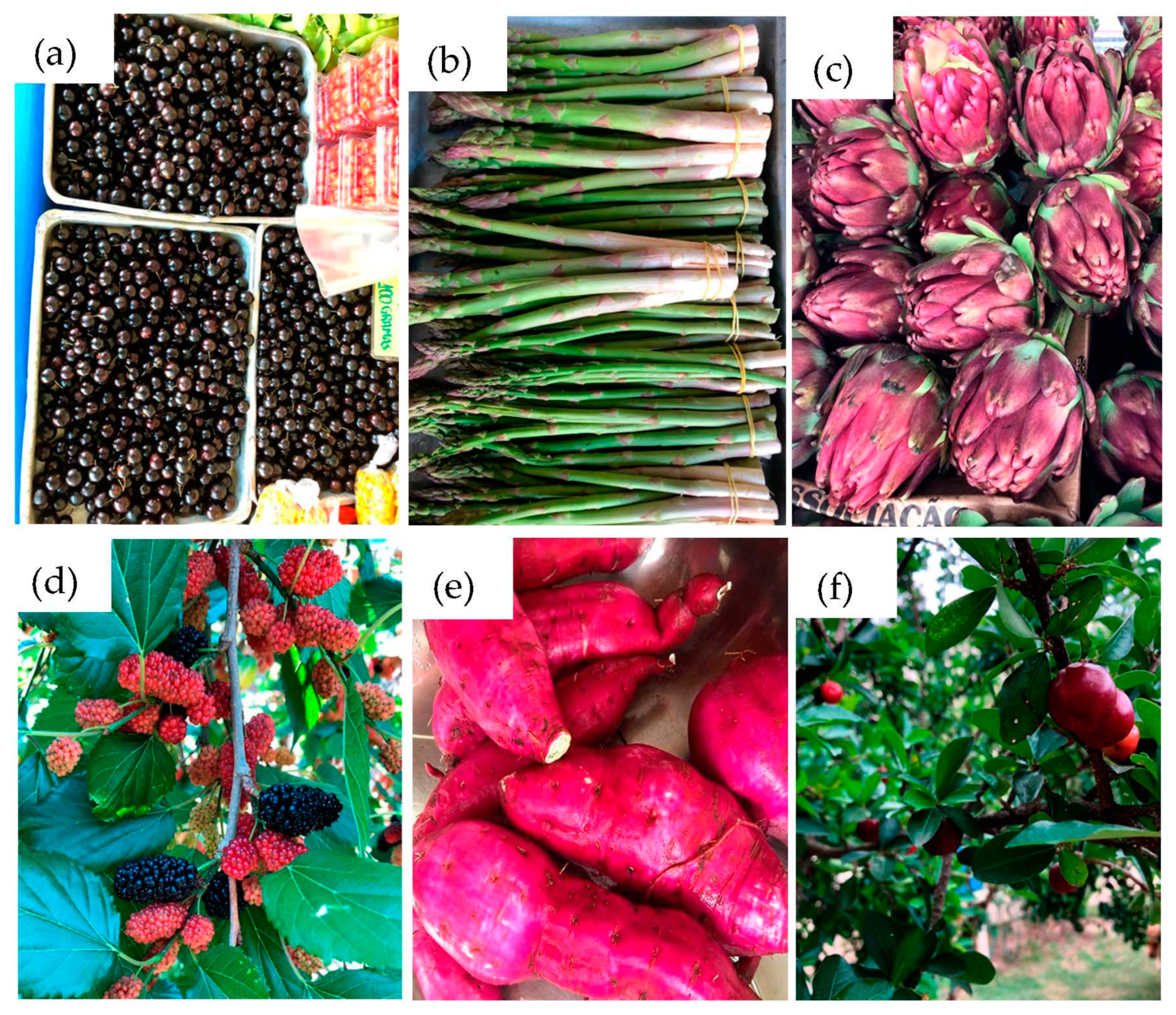 Agronomy 10 00648 g001 Agronomy 10 00648 g001