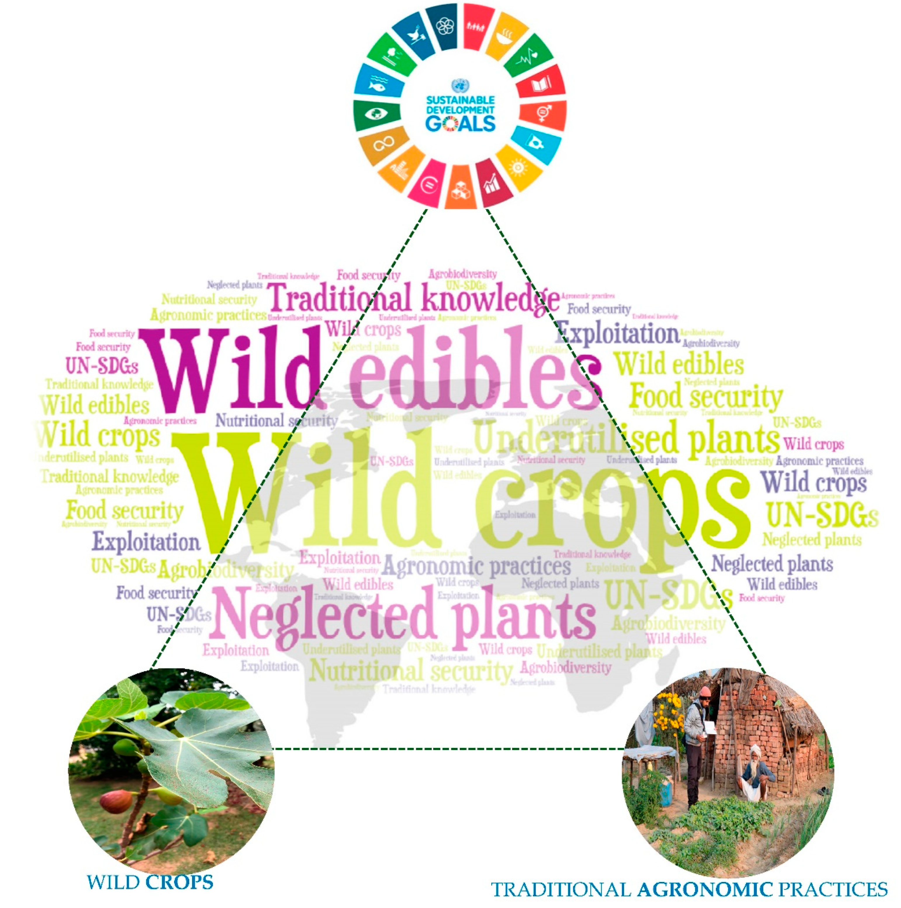 Agronomy 10 00648 g002 Agronomy 10 00648 g002