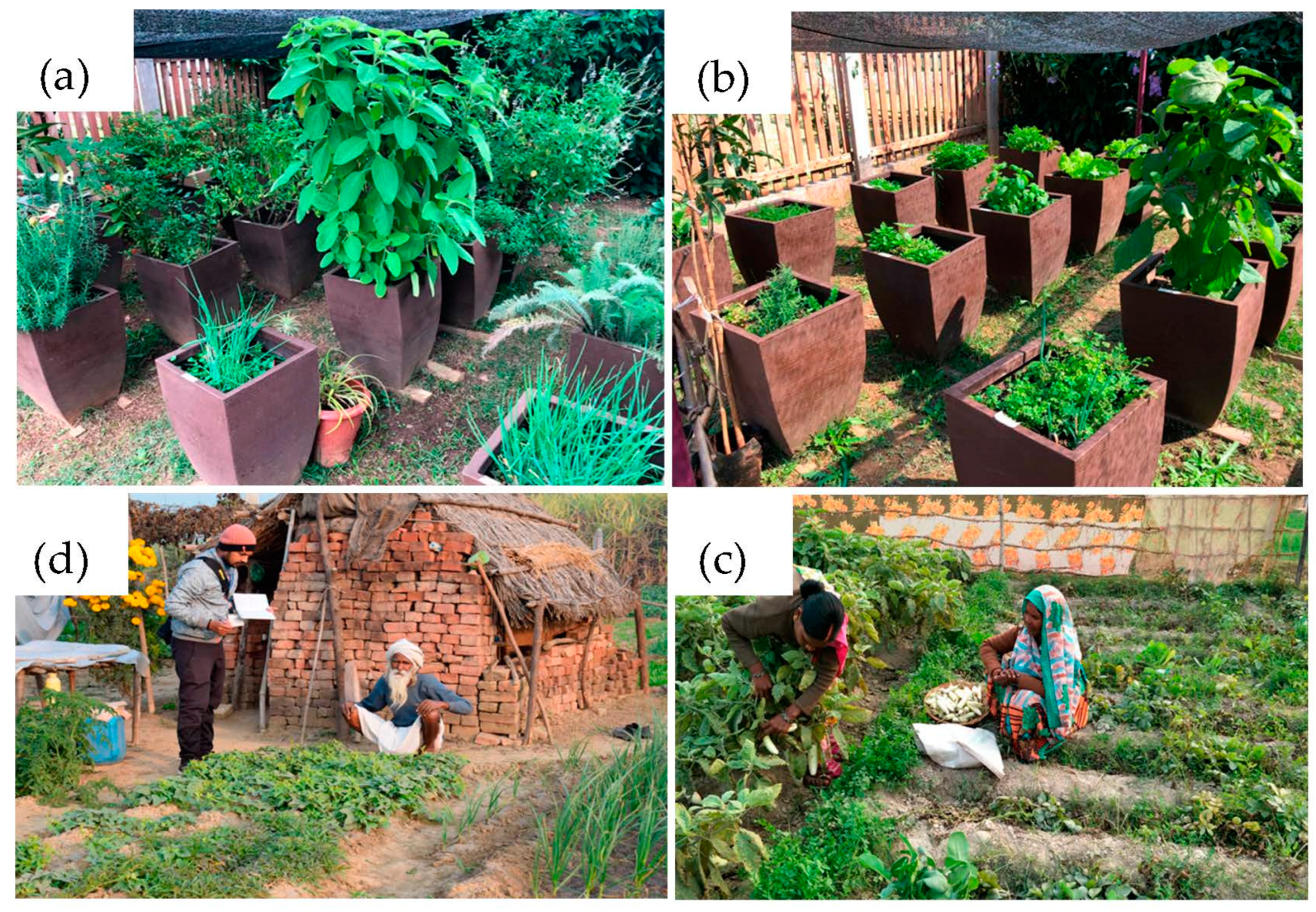 Agronomy 10 00648 g004 Agronomy 10 00648 g004