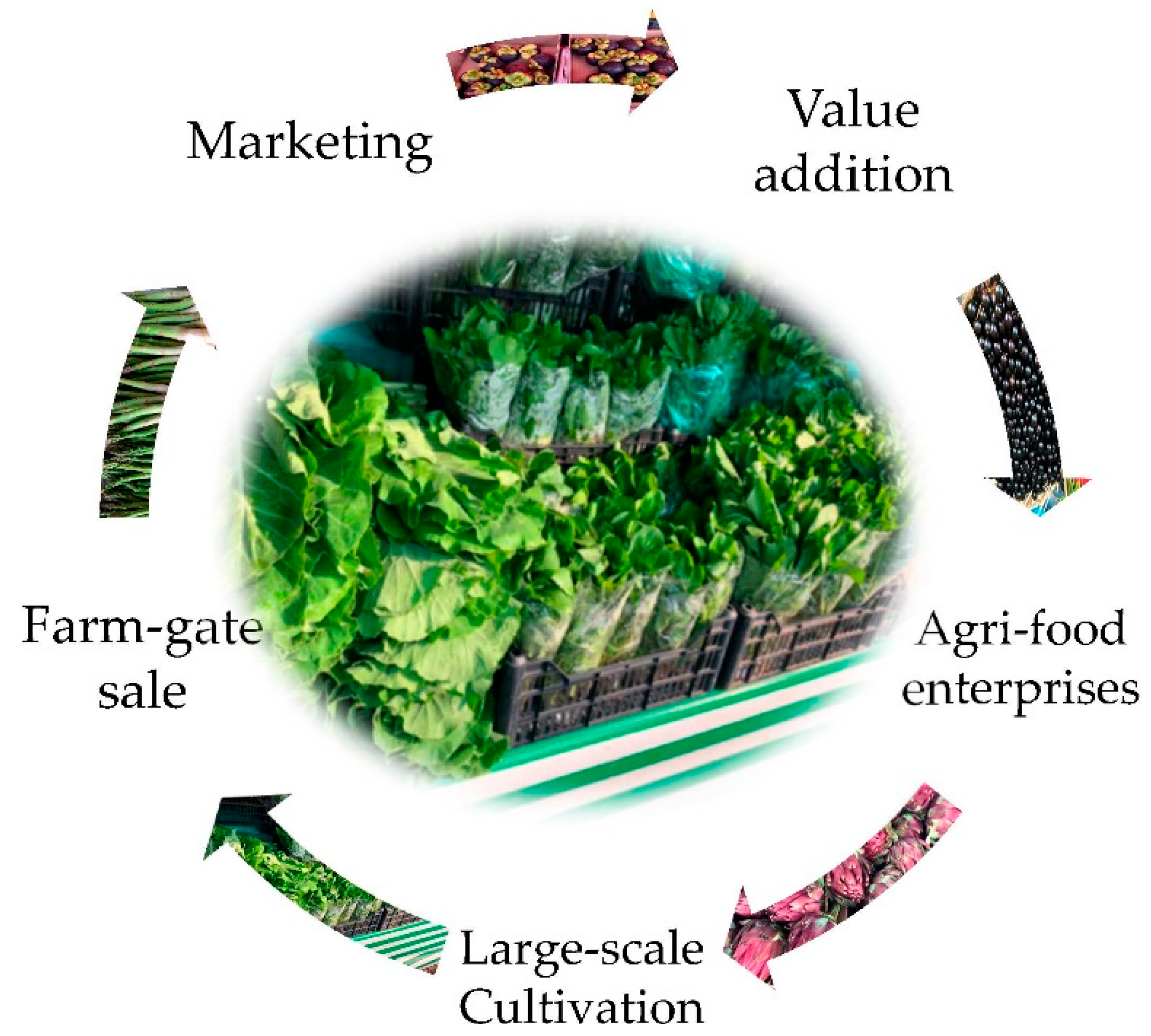 Agronomy 10 00648 g005 Agronomy 10 00648 g005