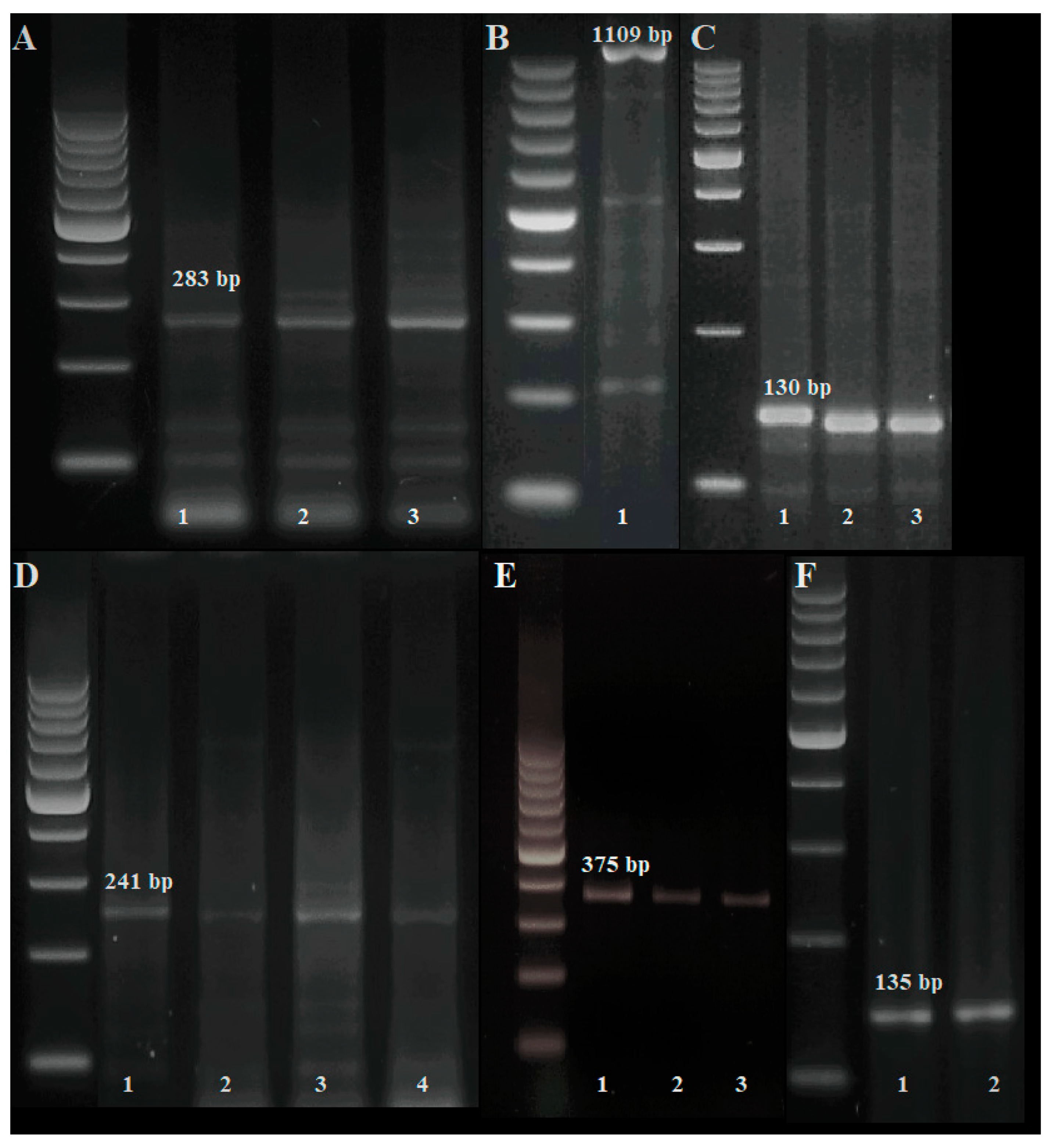 Agronomy 10 00658 g004 Agronomy 10 00658 g004