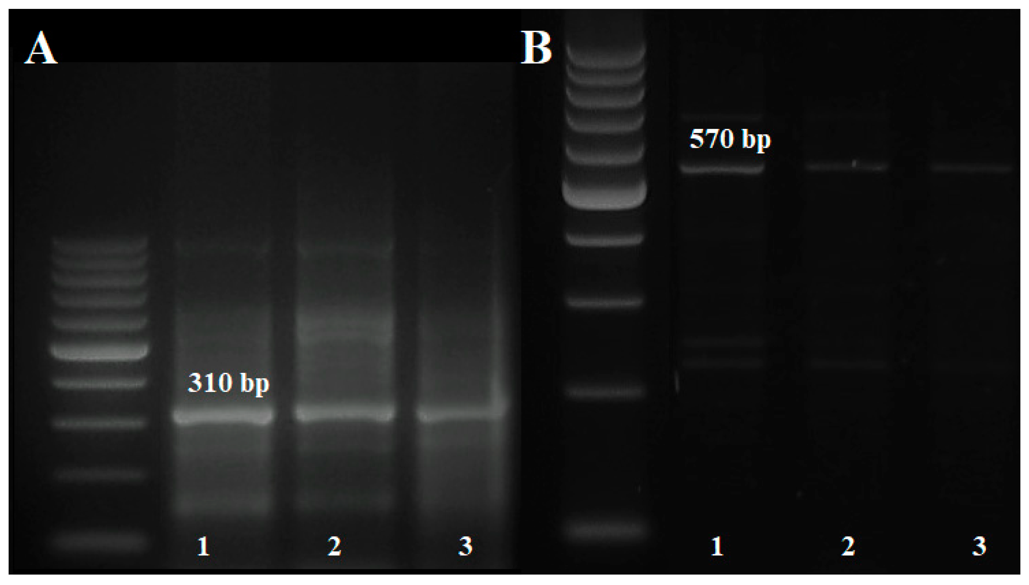 Agronomy 10 00658 g009 Agronomy 10 00658 g009