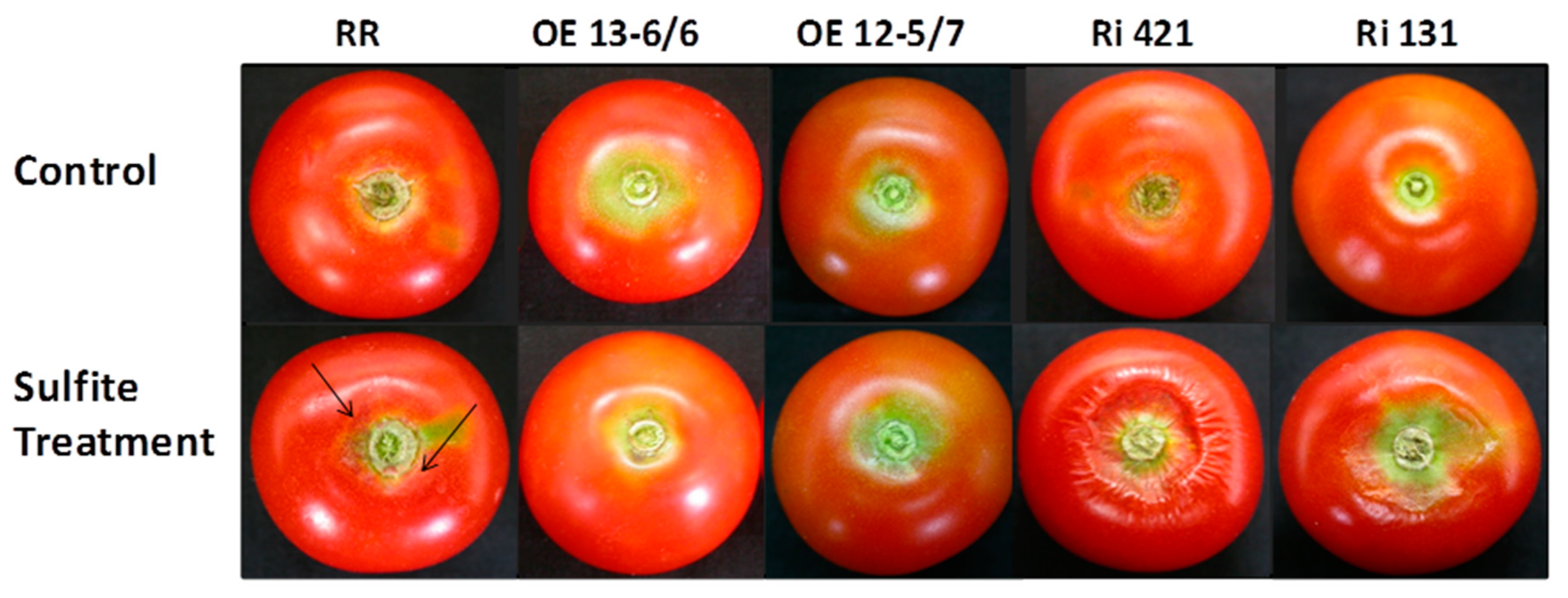 Agronomy 10 00694 g010