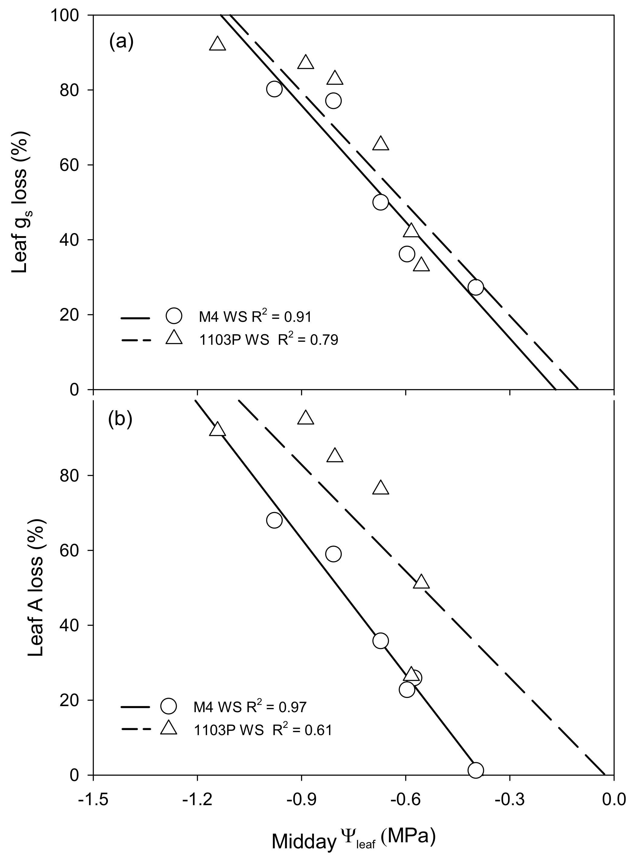 Agronomy 10 00708 g004